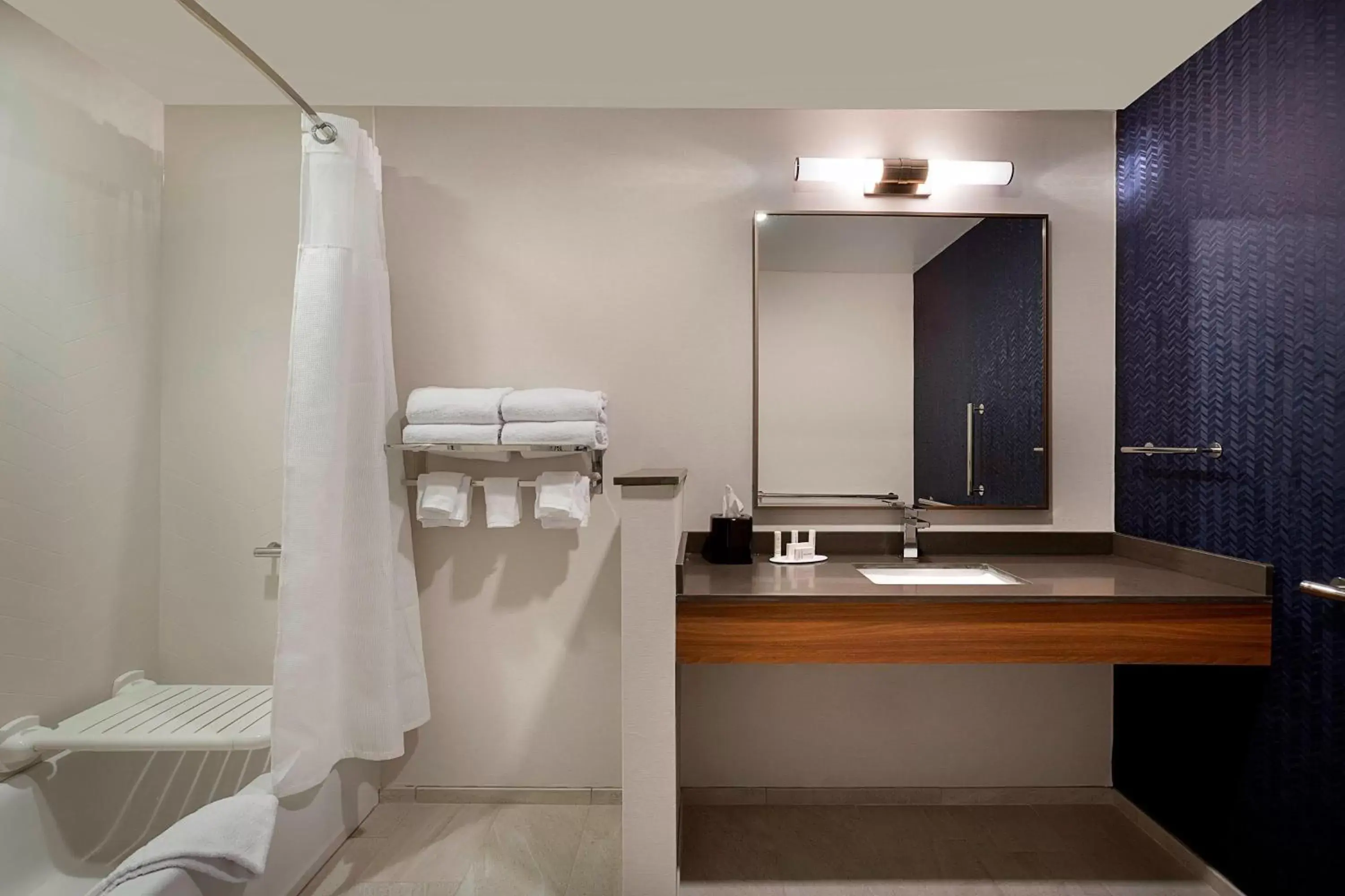 Bathroom in Fairfield Inn & Suites by Marriott Shelby