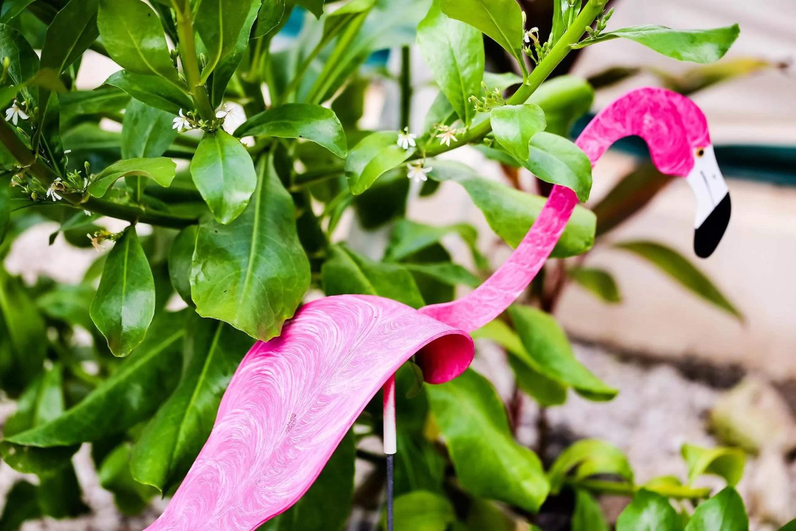 Other in Harmony Glamping Boutique Hotel and Yoga