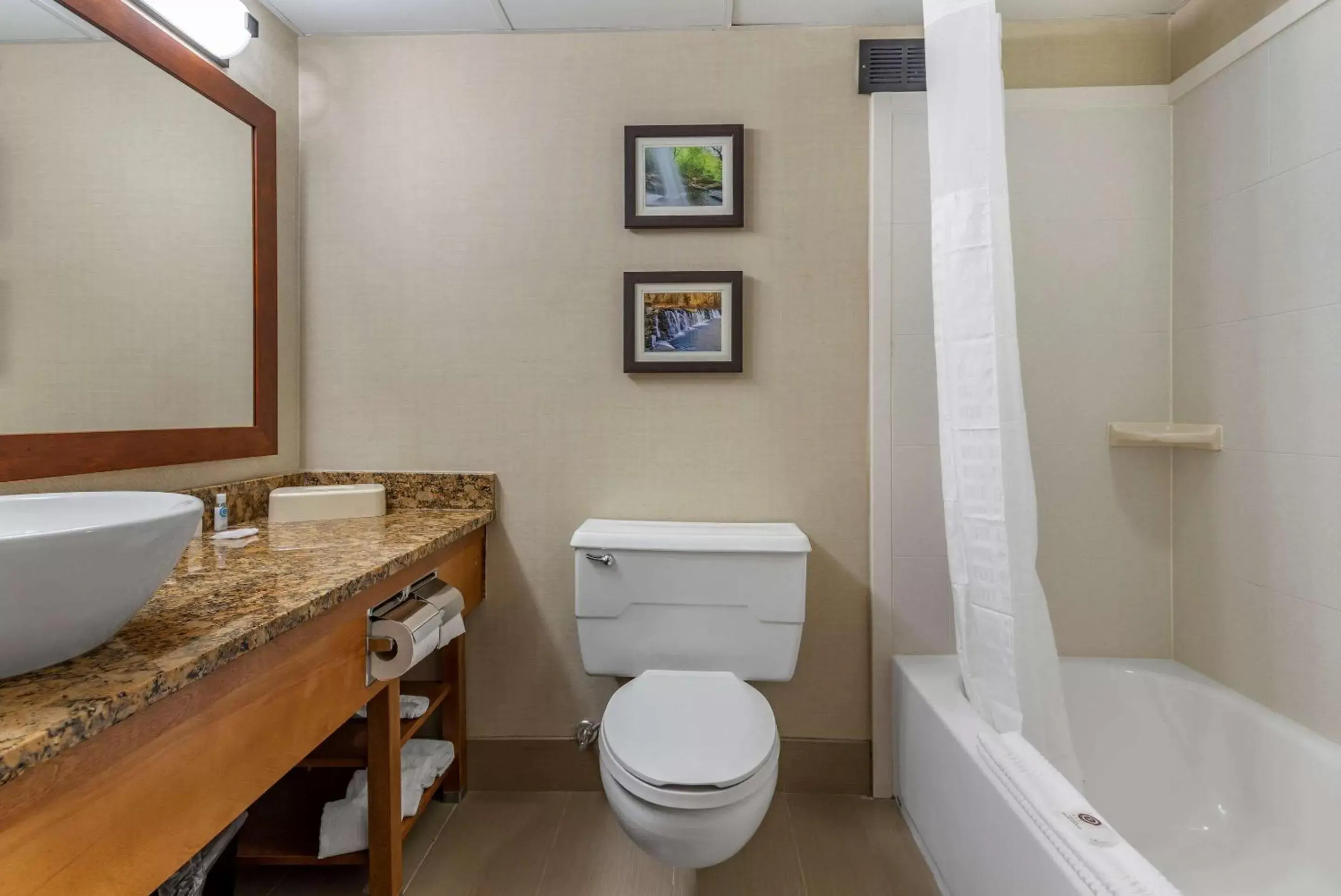 Bathroom in Comfort Inn & Suites Glen Mills - Concordville