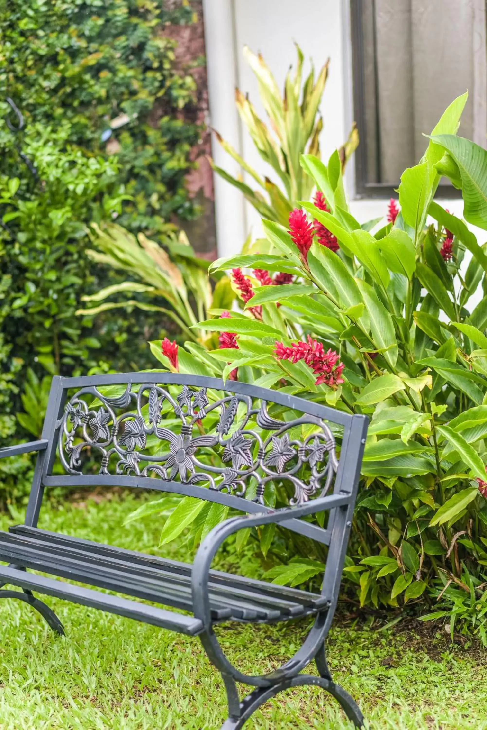 Balcony/Terrace, Garden in Berlor Airport Inn