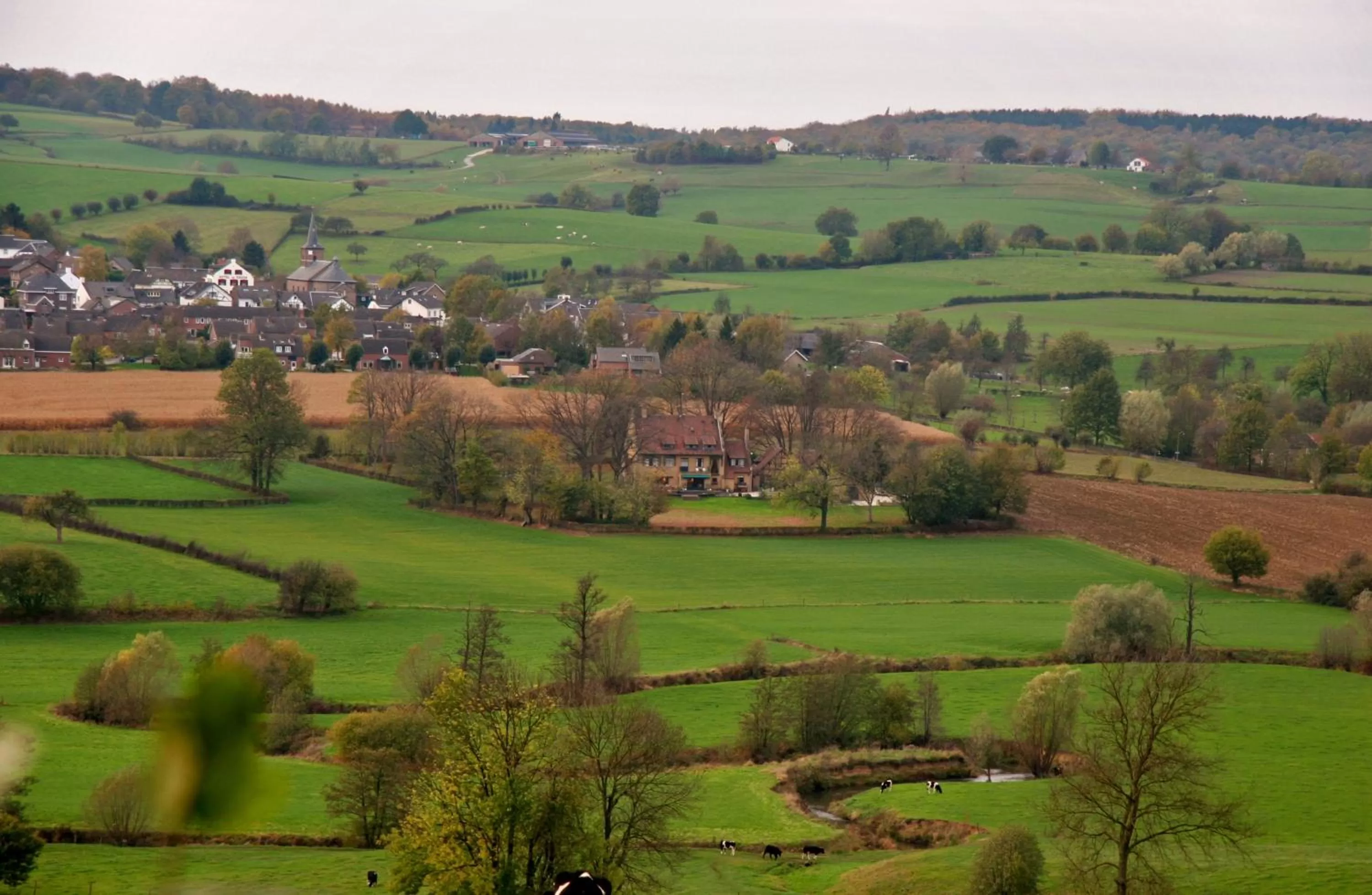 Natural landscape in Hotel Brull