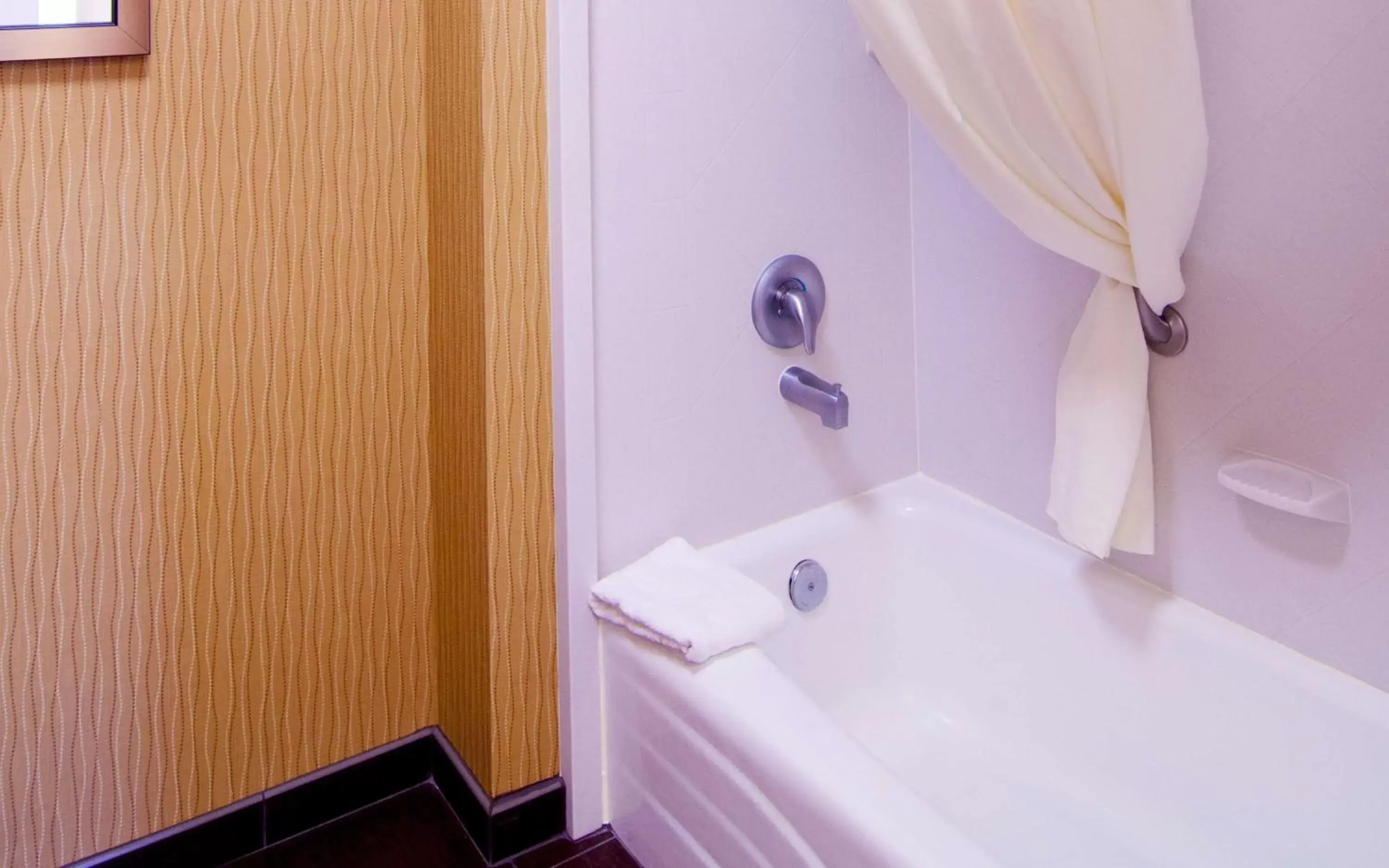 Bathroom in Hampton Inn & Suites Tampa-North