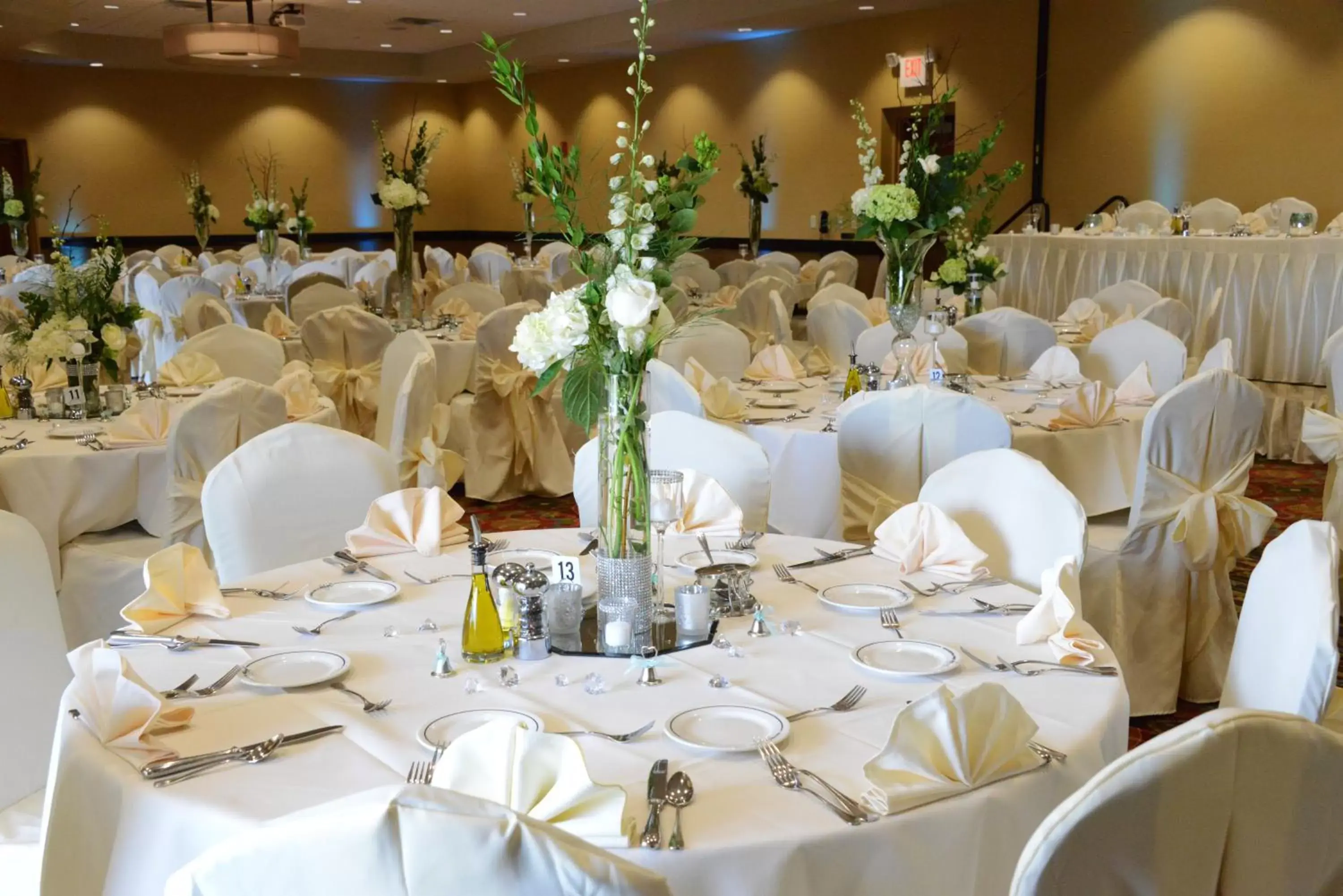 Banquet/Function facilities, Banquet Facilities in Holiday Inn Eau Claire South, an IHG Hotel