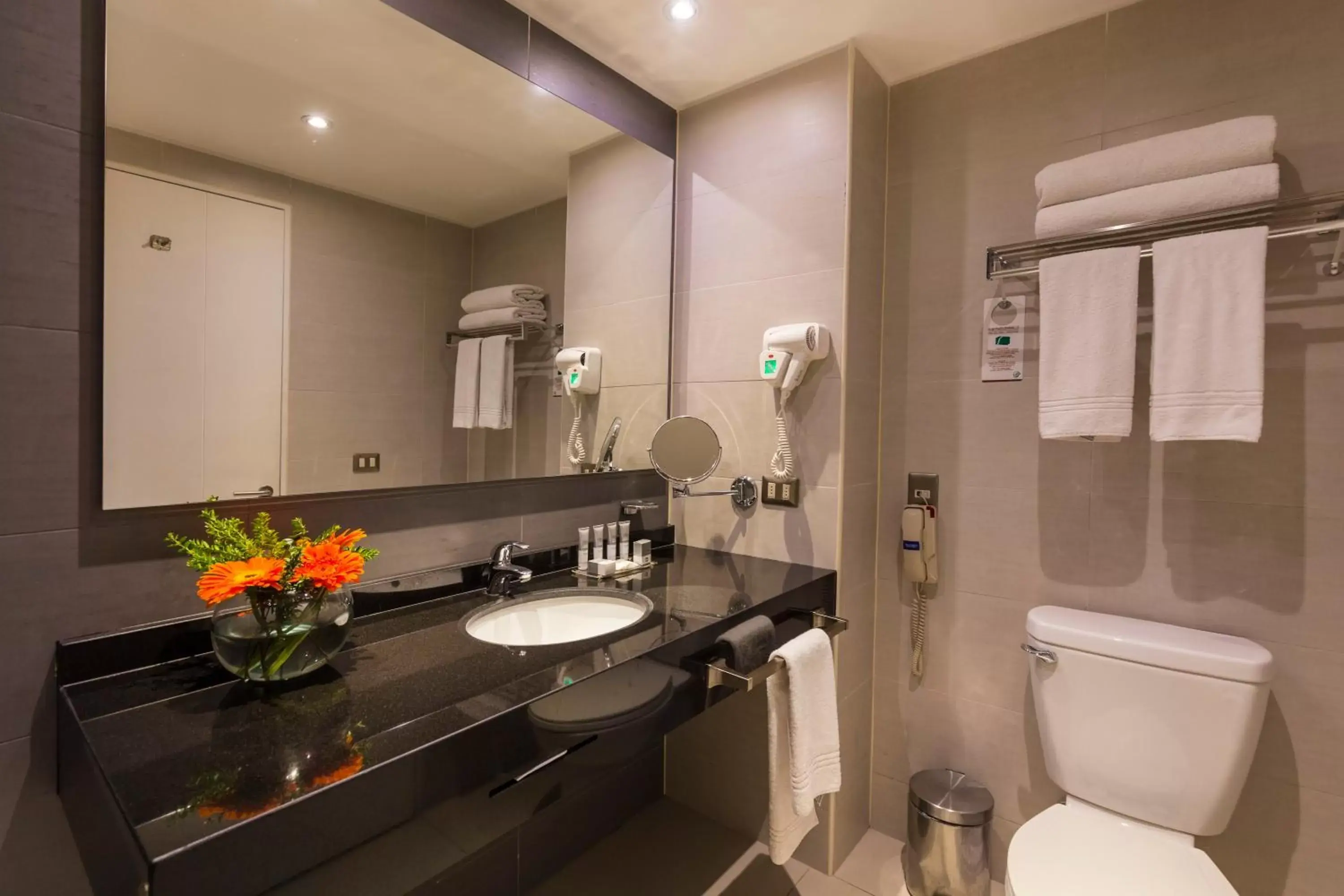 Bathroom in Best Western Premier Marina Las Condes