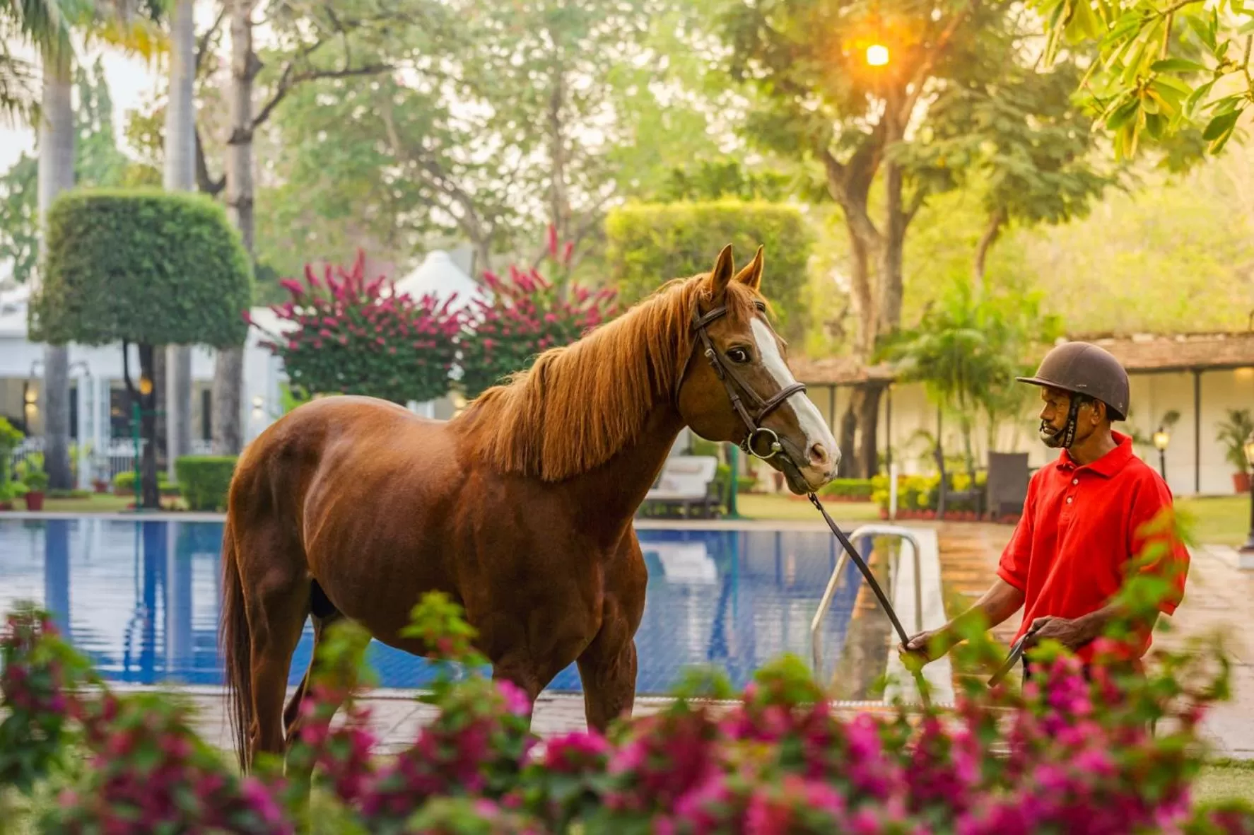 Jehan Numa Palace Hotel