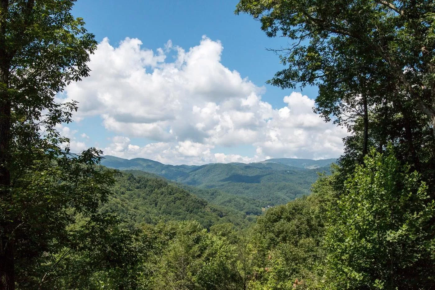 Bird's eye view in Lazy Bear Lodge