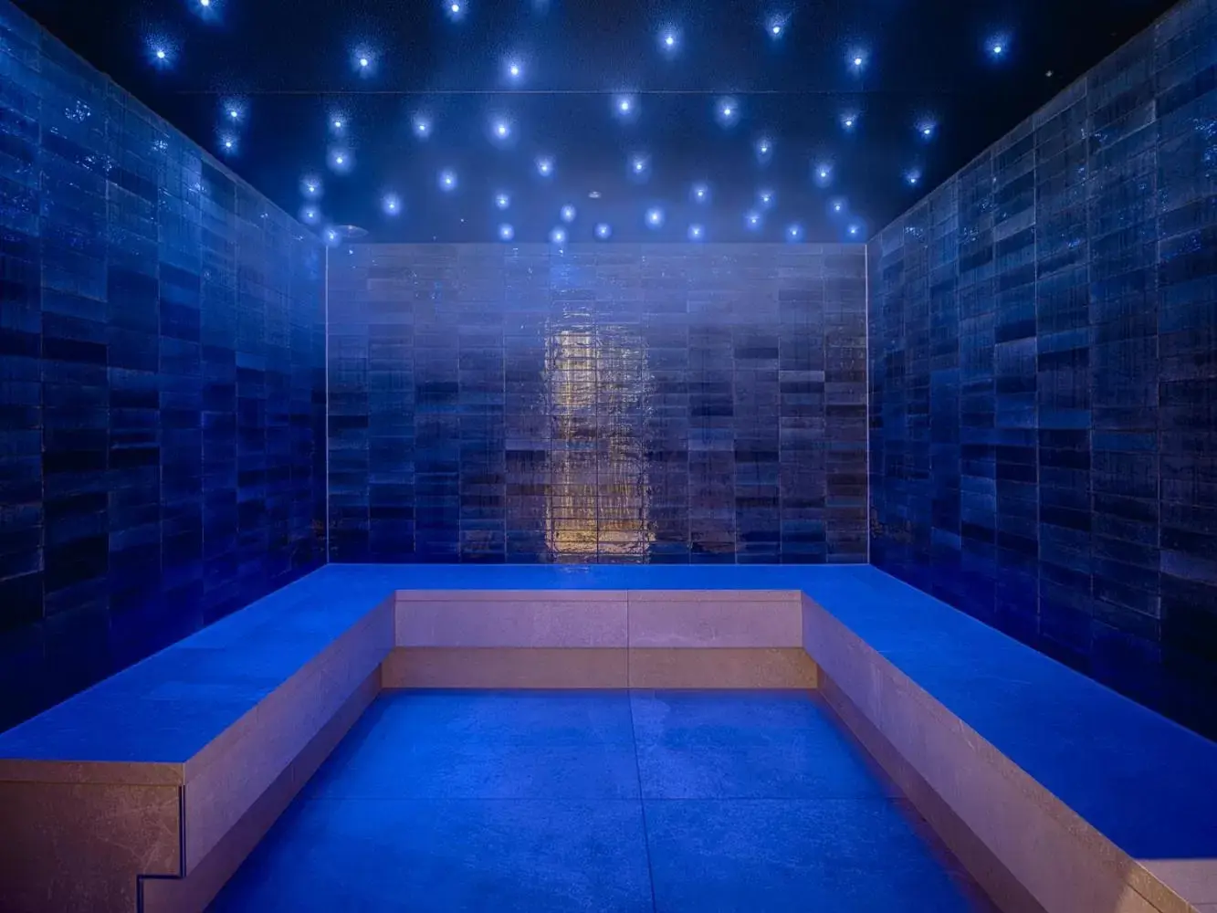 Sauna, Swimming Pool in Van der Valk Hotel Assen