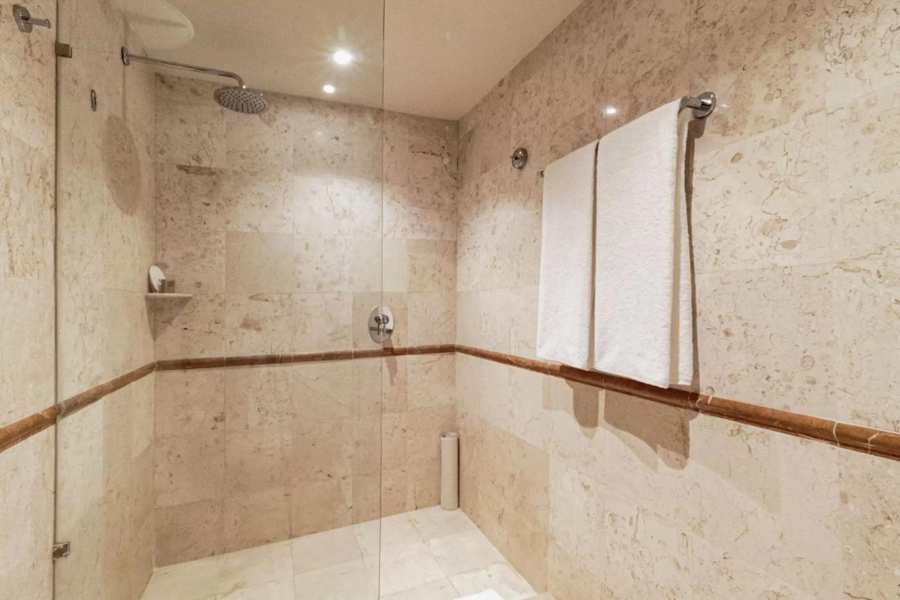 Shower, Bathroom in Camino Real Veracruz