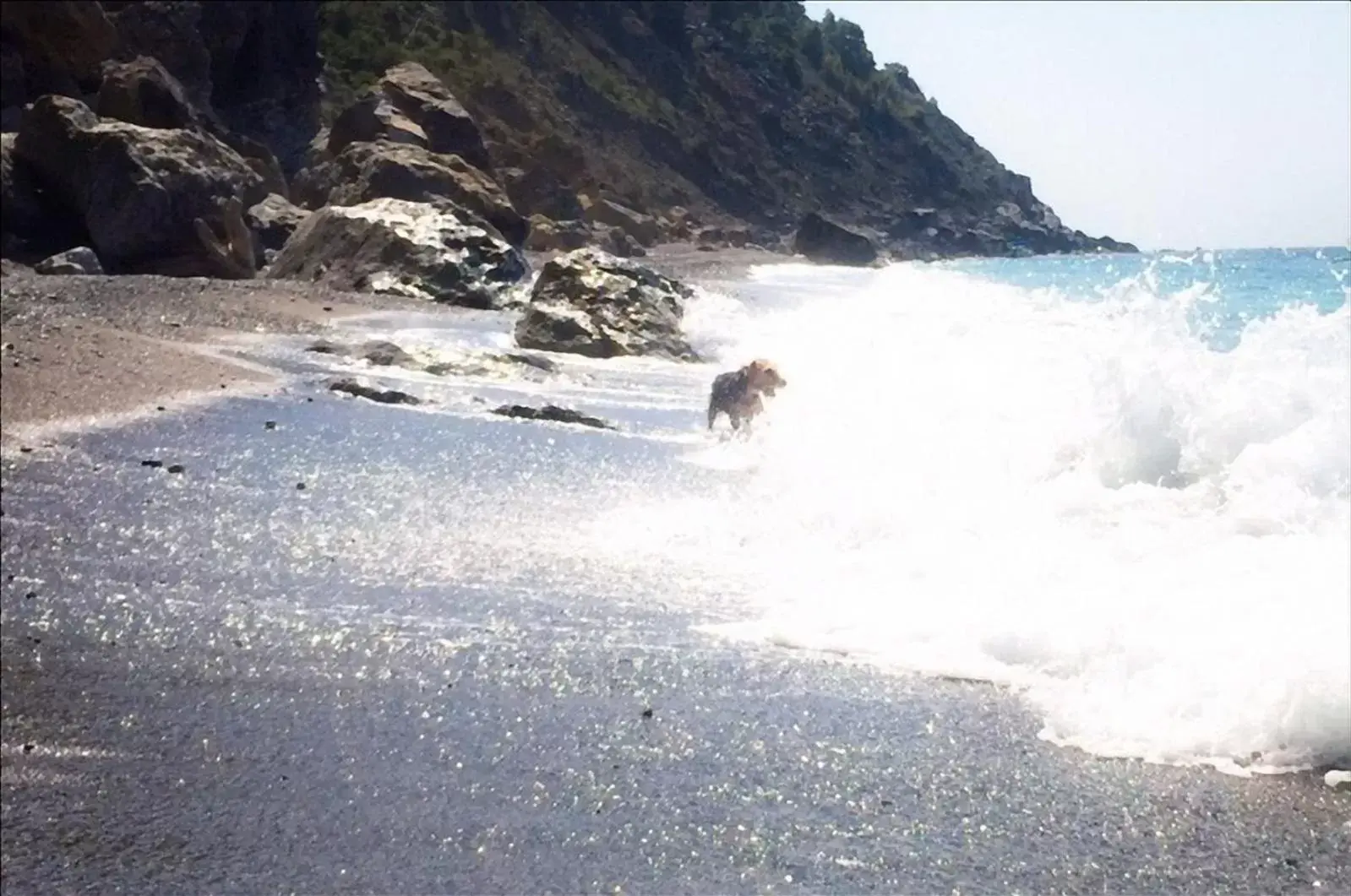 Natural landscape, Beach in Le Pinette