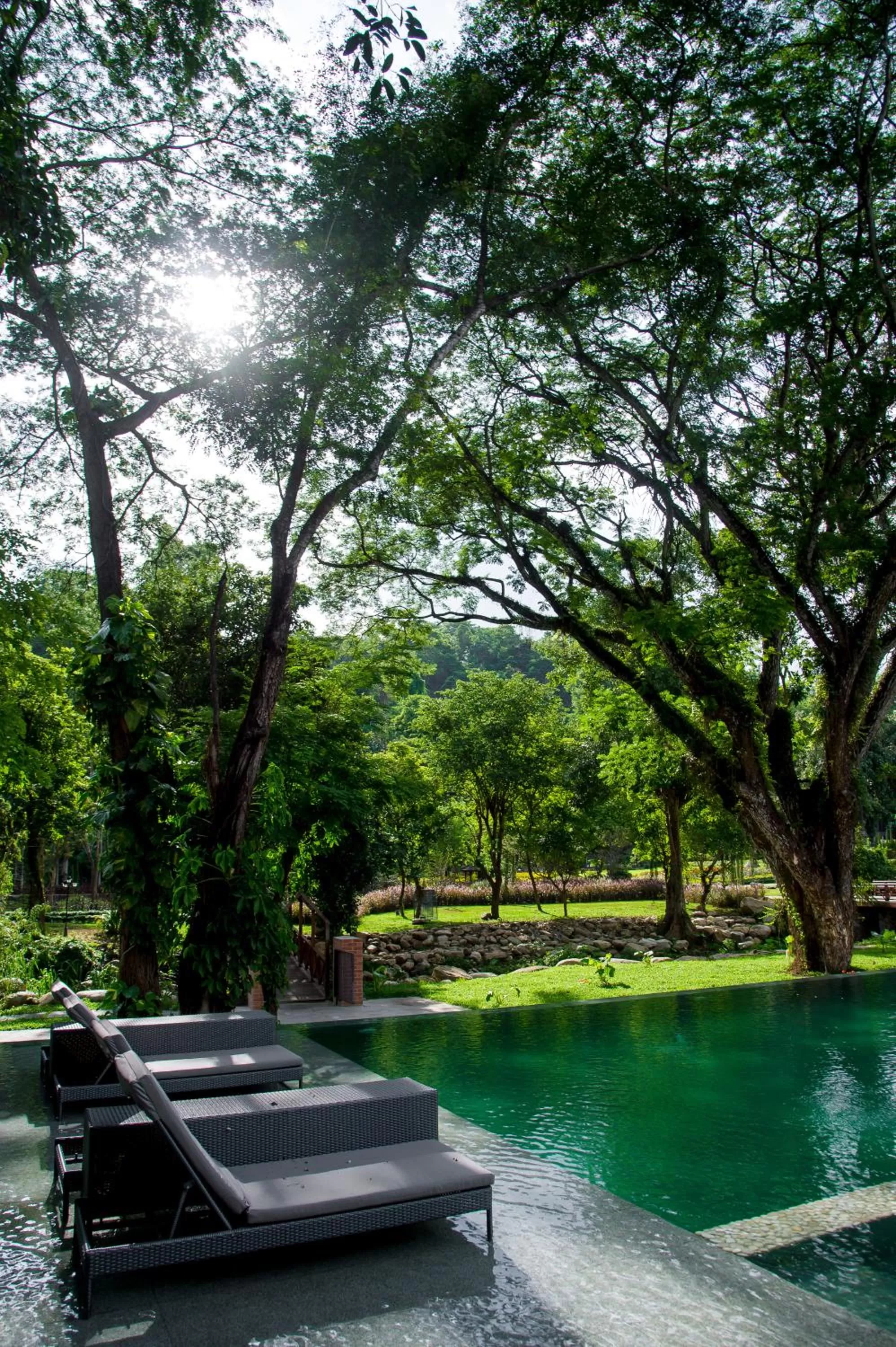 Swimming pool in Flora Creek Chiang Mai