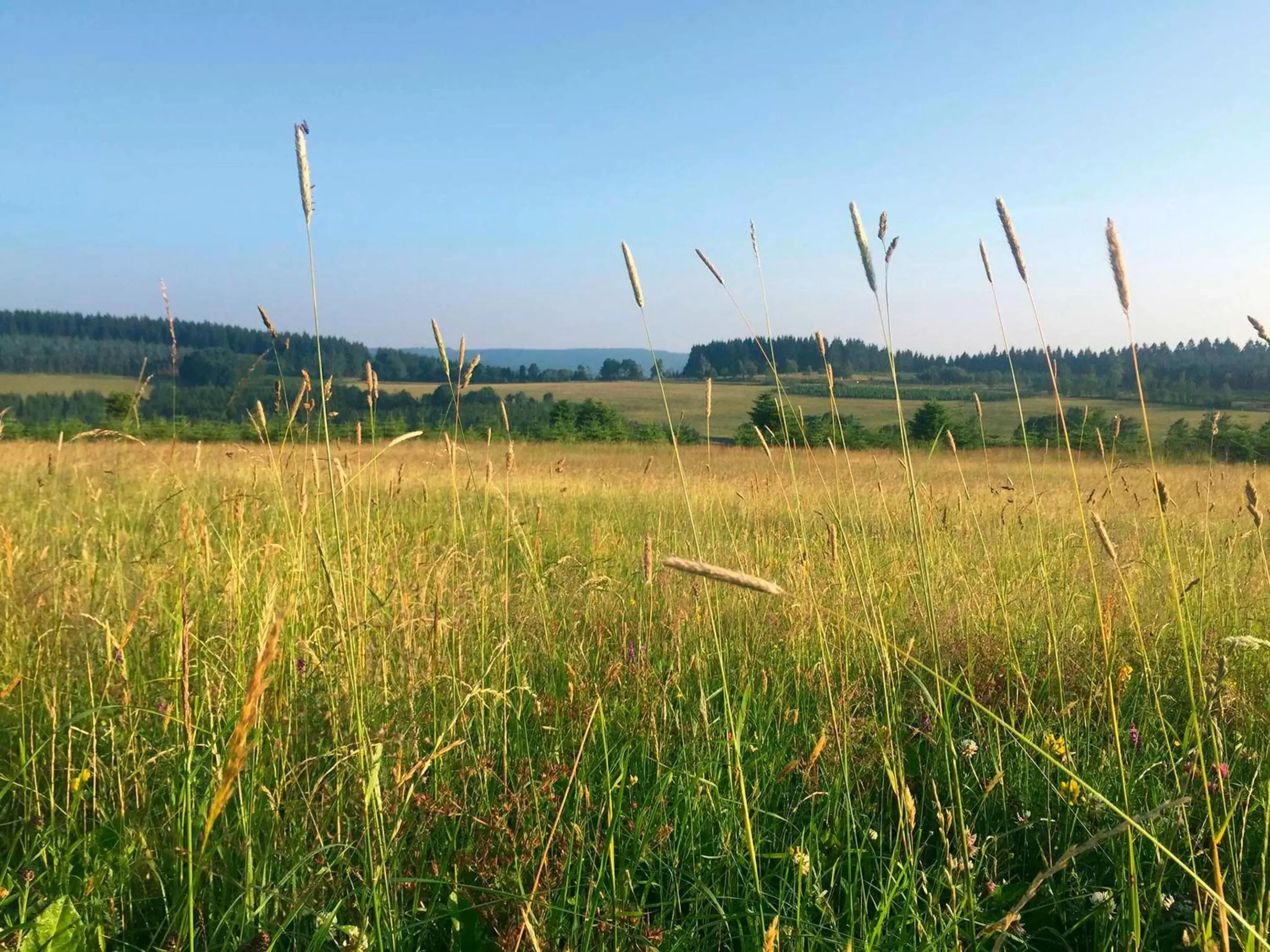 Garden view in Der schöne Asten - Resort Winterberg