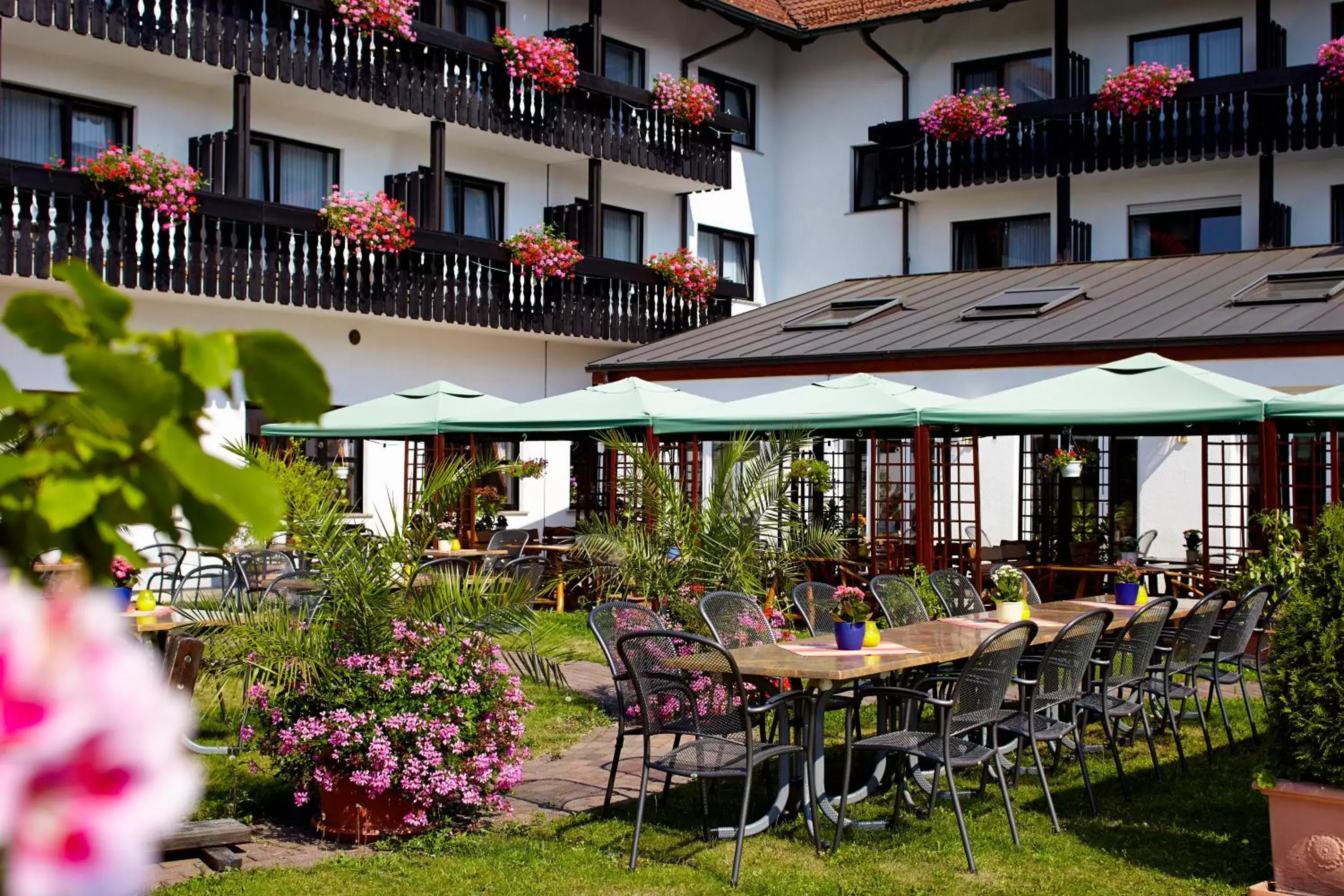 Garden, Restaurant/Places to Eat in Sonnenhof