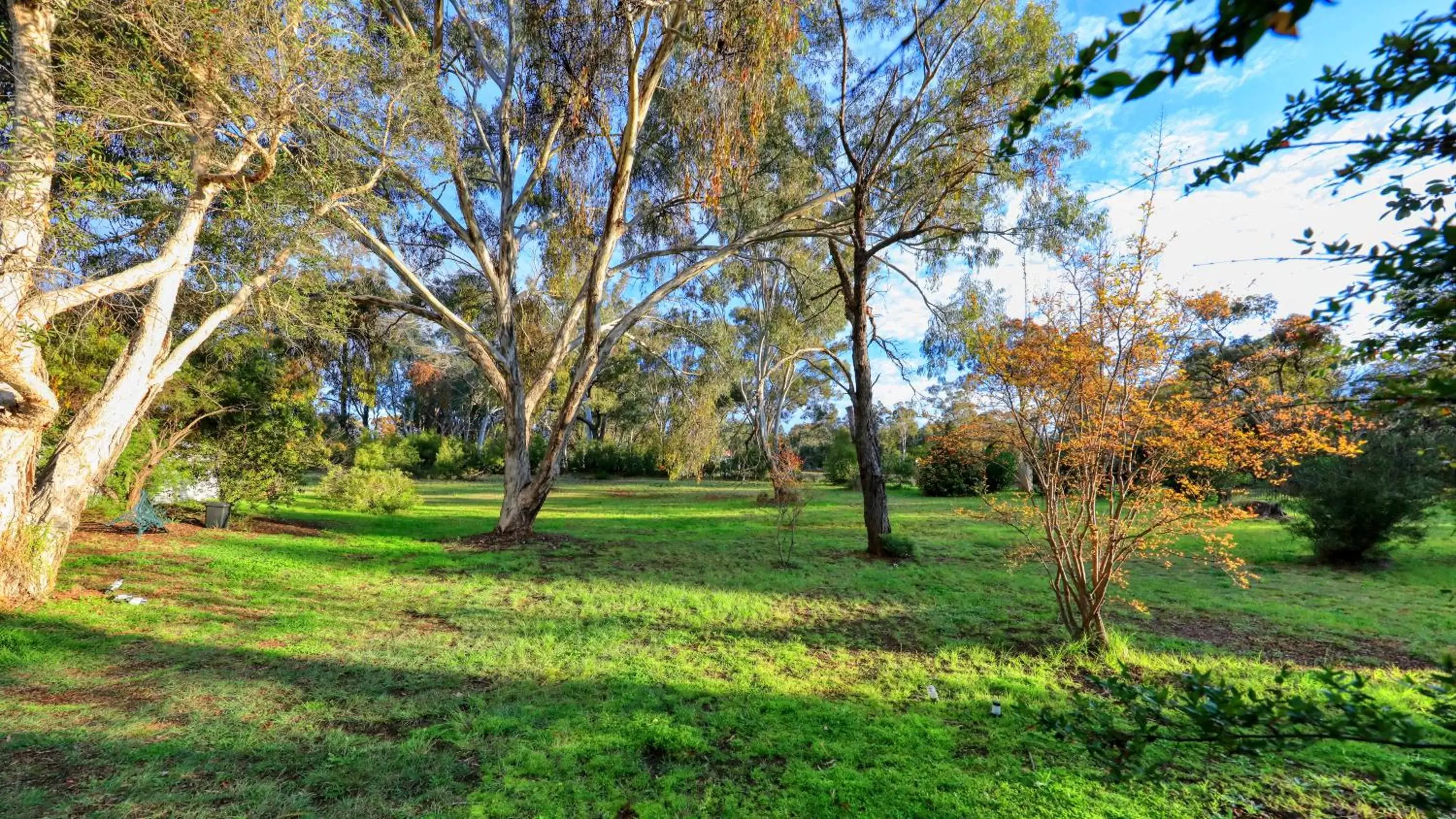 Natural landscape, Garden in Matthew Flinders Motor Inn