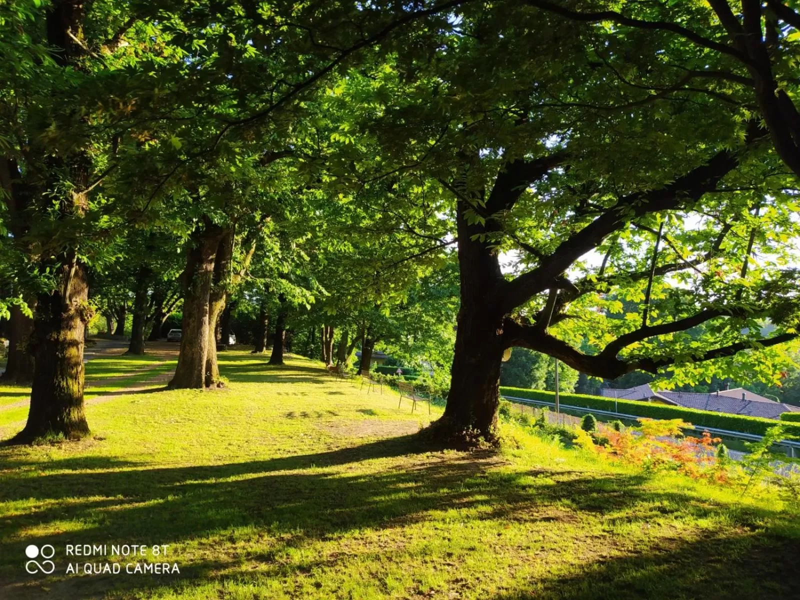 Natural landscape in "La Selvetta" bed and breakfast
