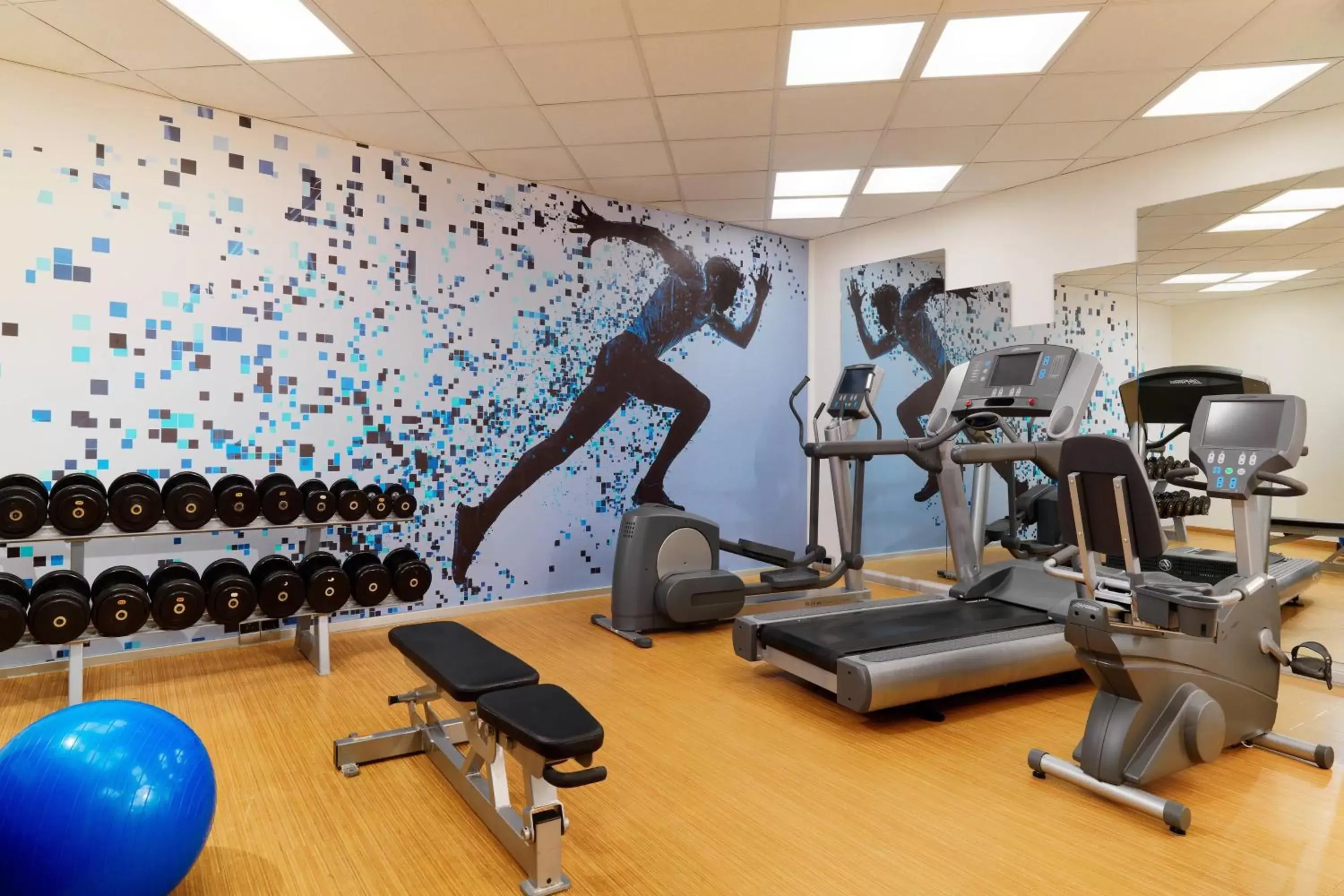 Fitness centre/facilities, Fitness Center/Facilities in Sheraton Offenbach Hotel