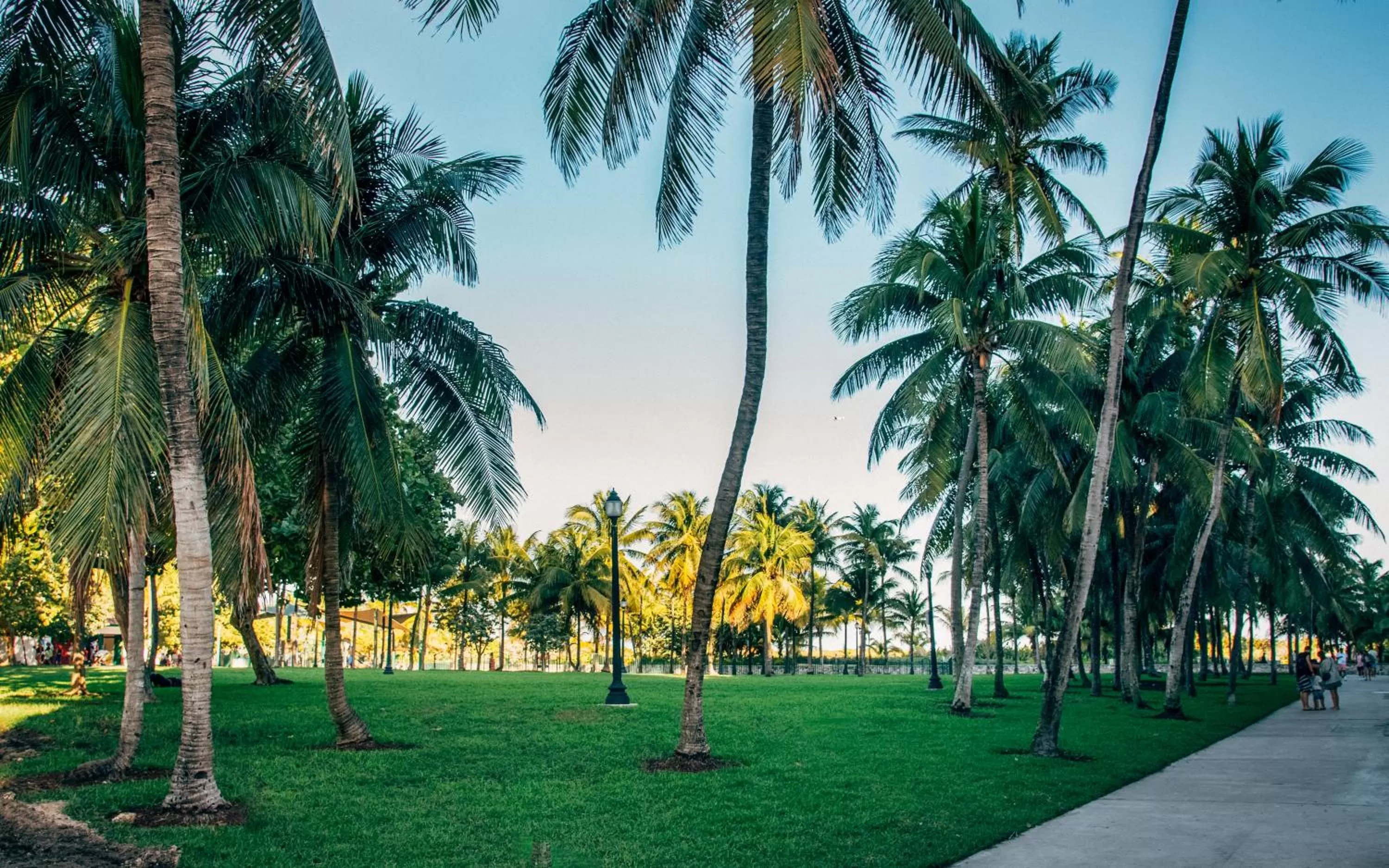 Garden in Century Hotel