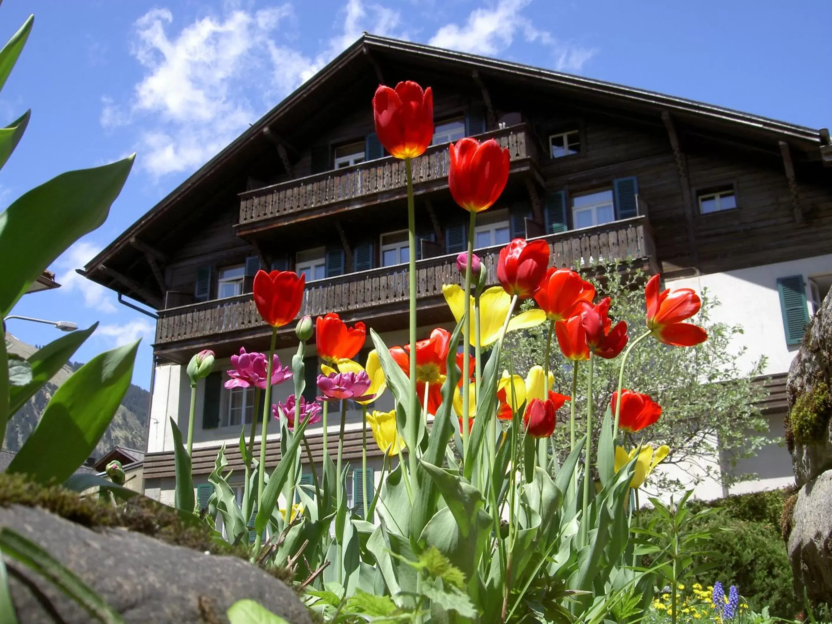 Facade/entrance, Property Building in Hotel Sternen