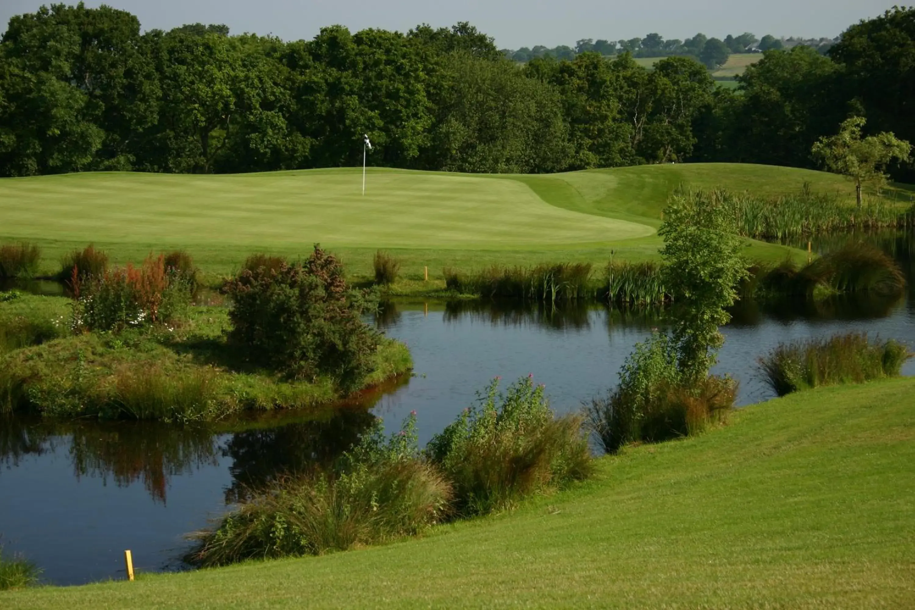 Golfcourse in Woodbury Park Hotel & Spa