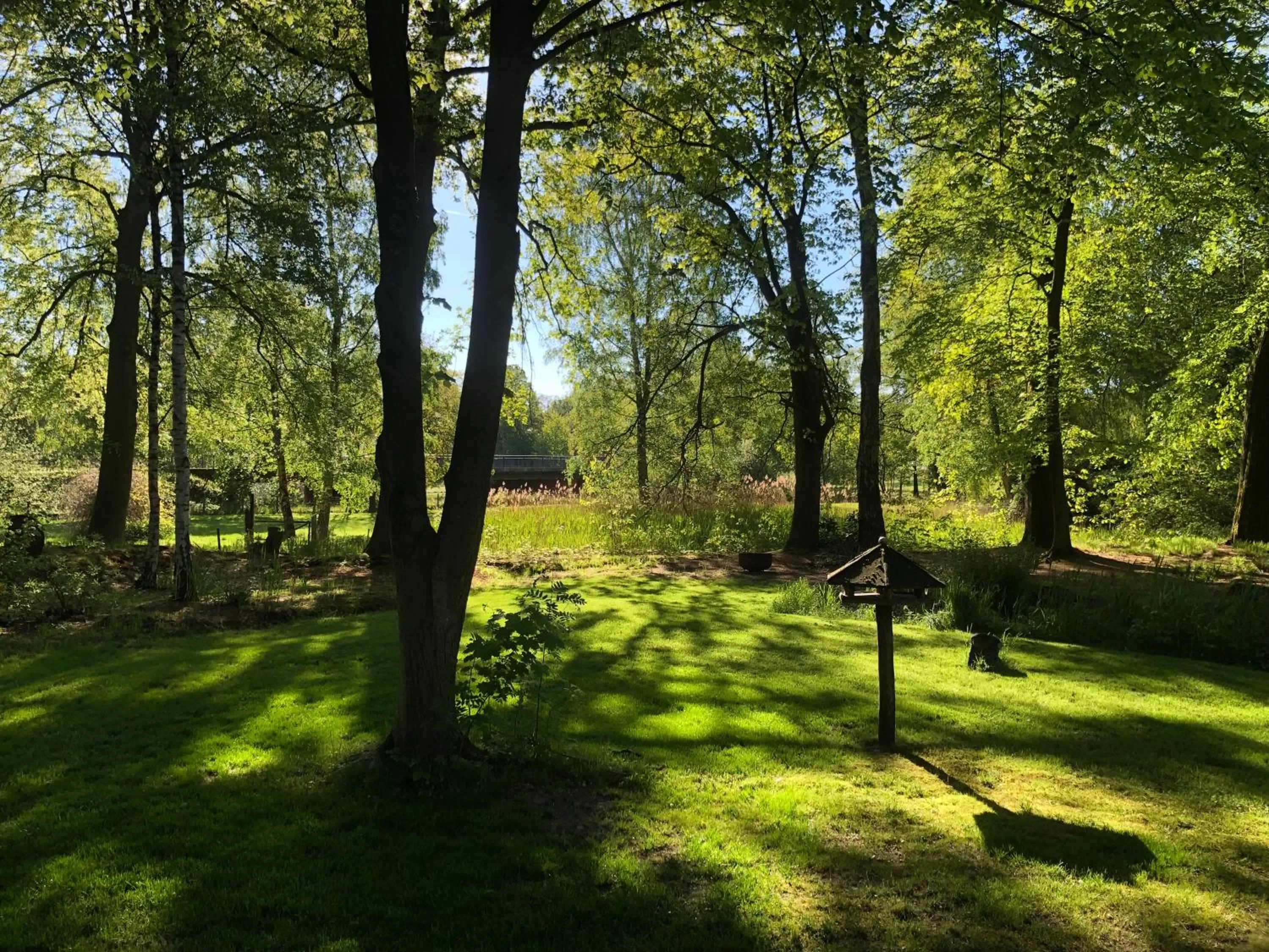 Natural landscape in Landhotel Gutshof im Oertzetal in Oldendorf, Südheide