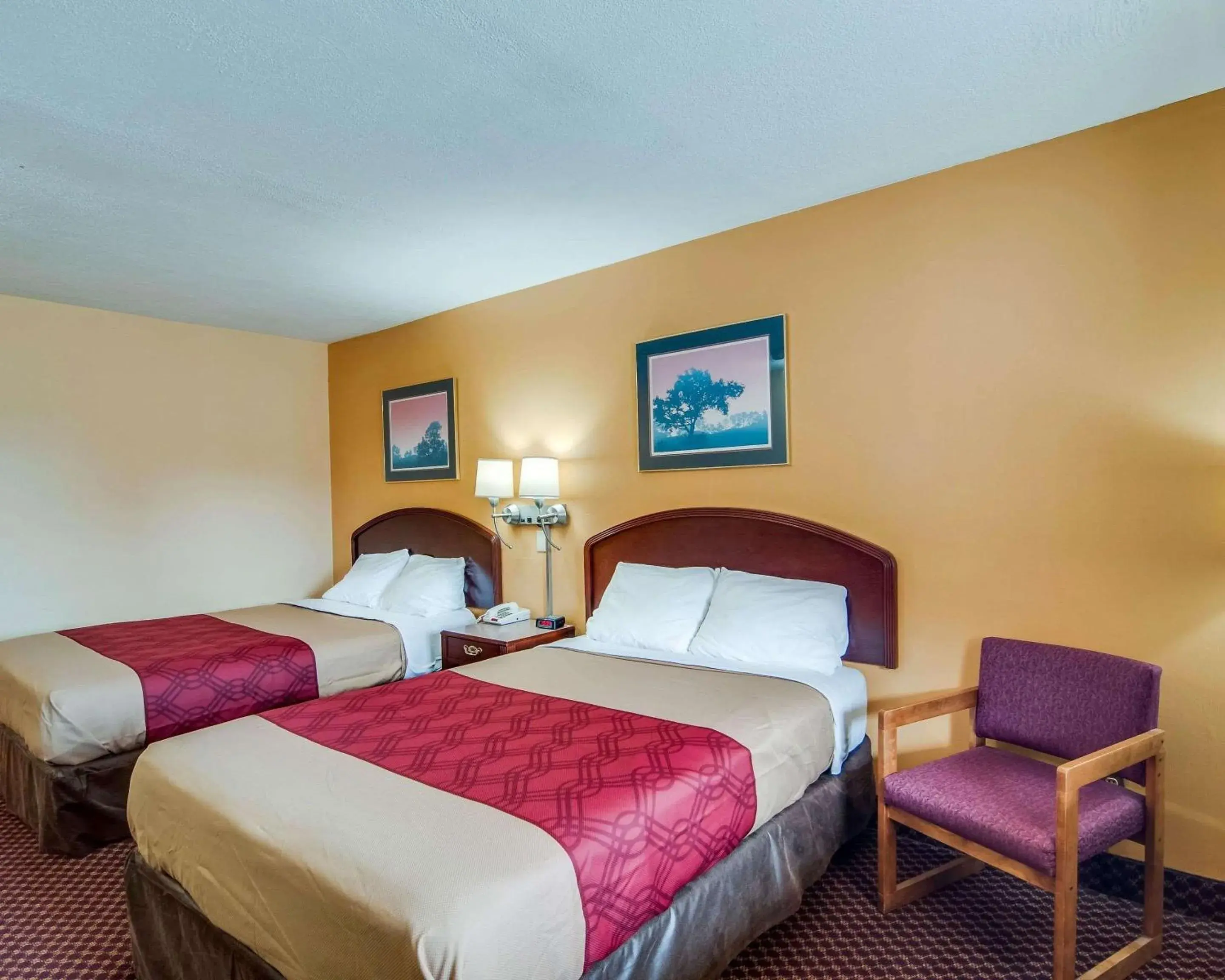 Photo of the whole room, Bed in Econo Lodge Near Bluefield College