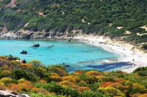 Beach in La Peonia Charming Accomodation