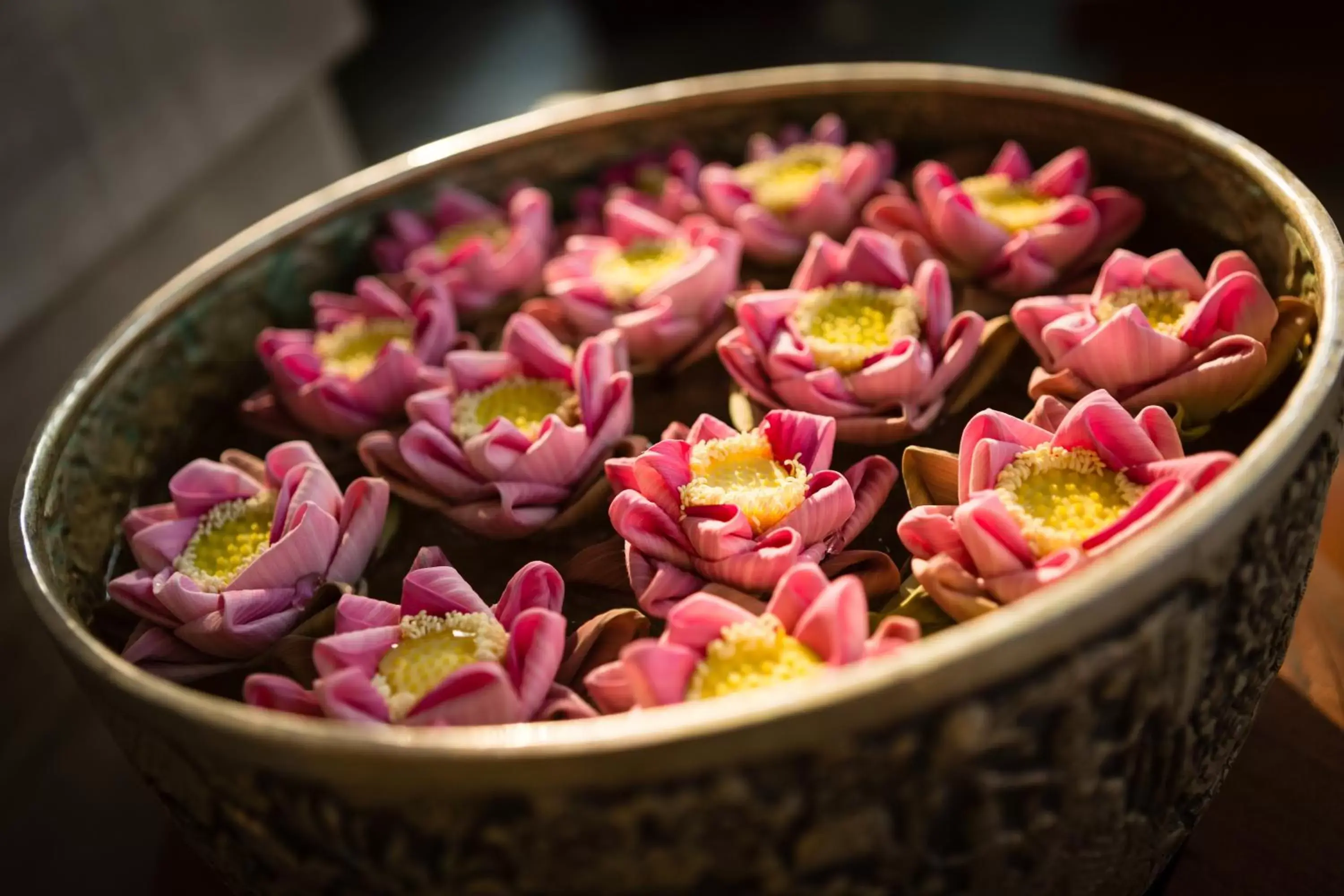 Decorative detail, Food in Shintana Saya Residence