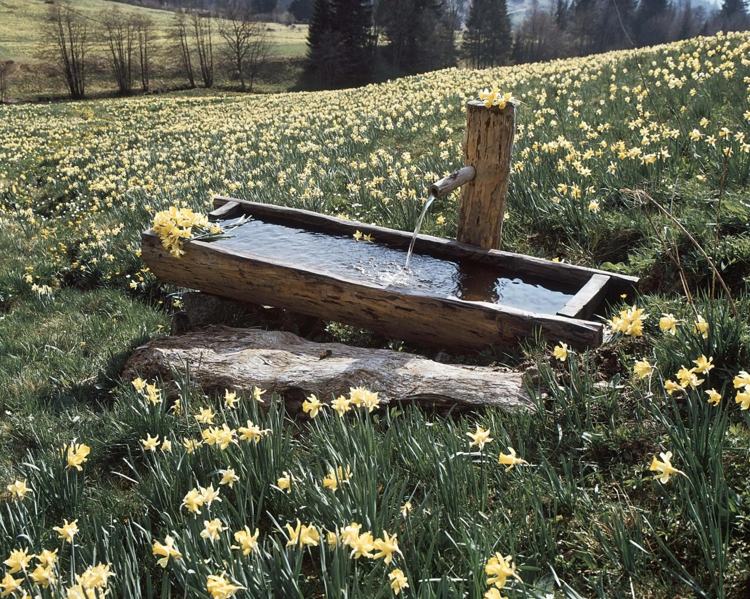 Le Grand Hotel & Spa