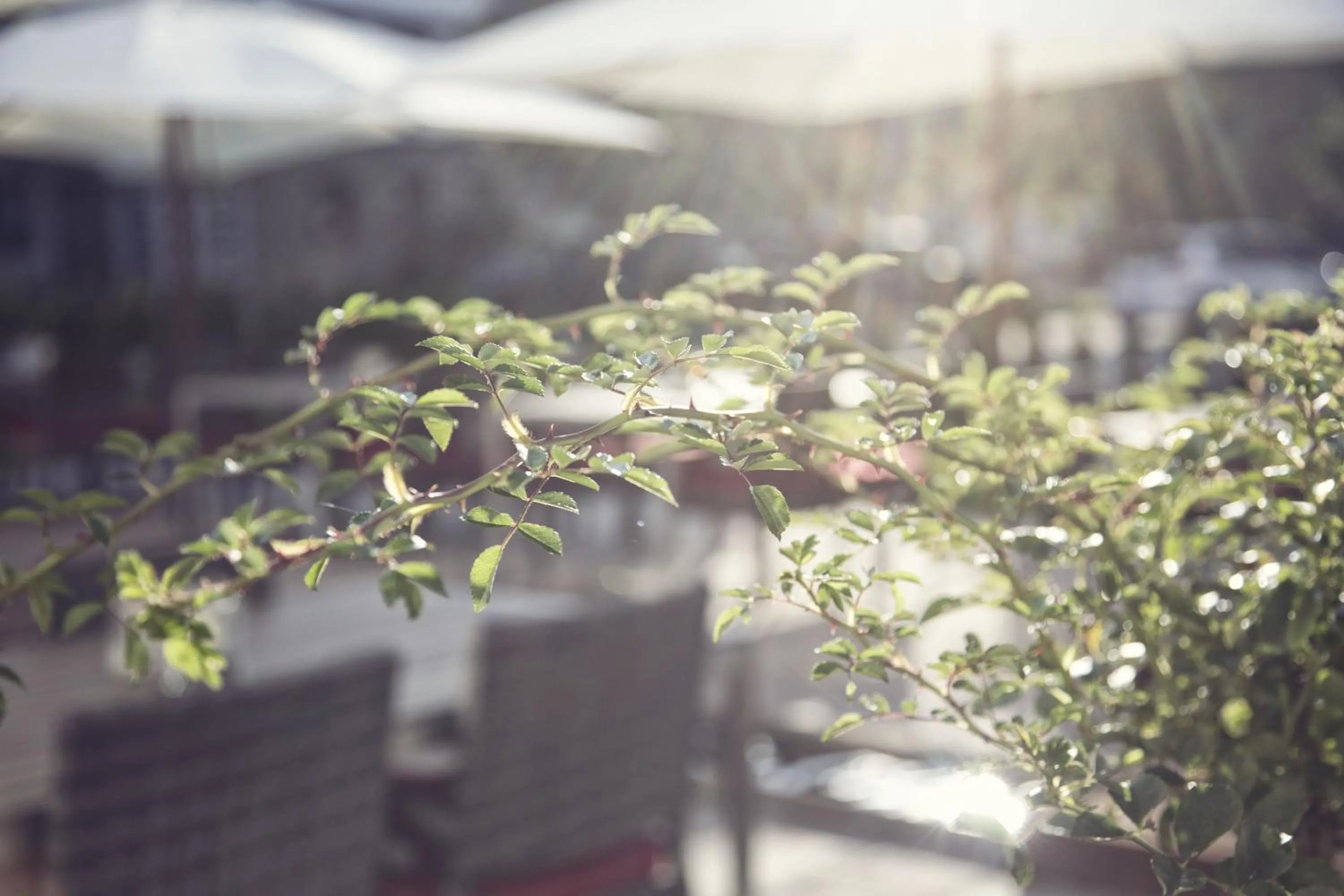 Day in Hotel & Appartements Heigenhauser