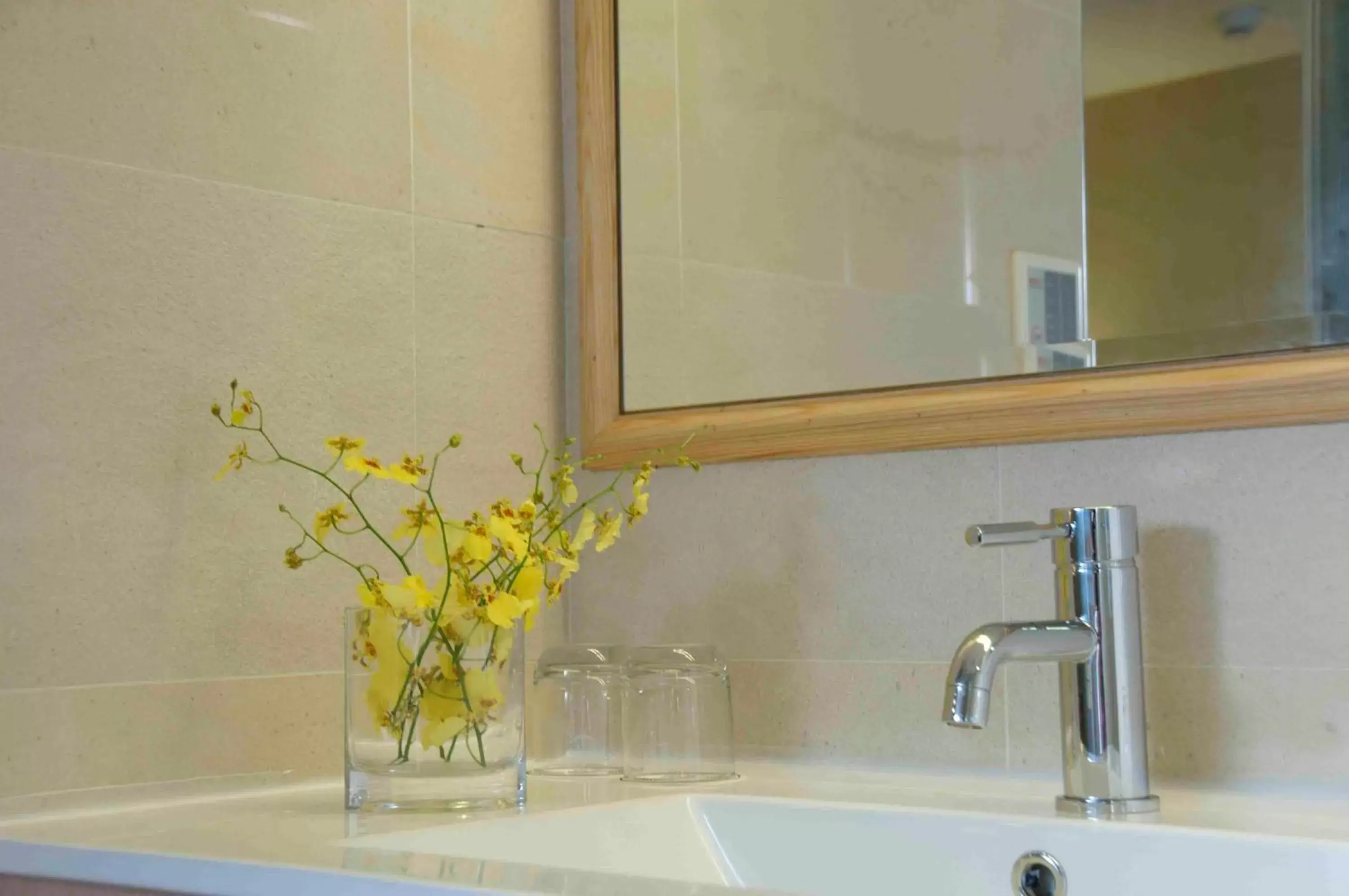 Bathroom in Hotel Color