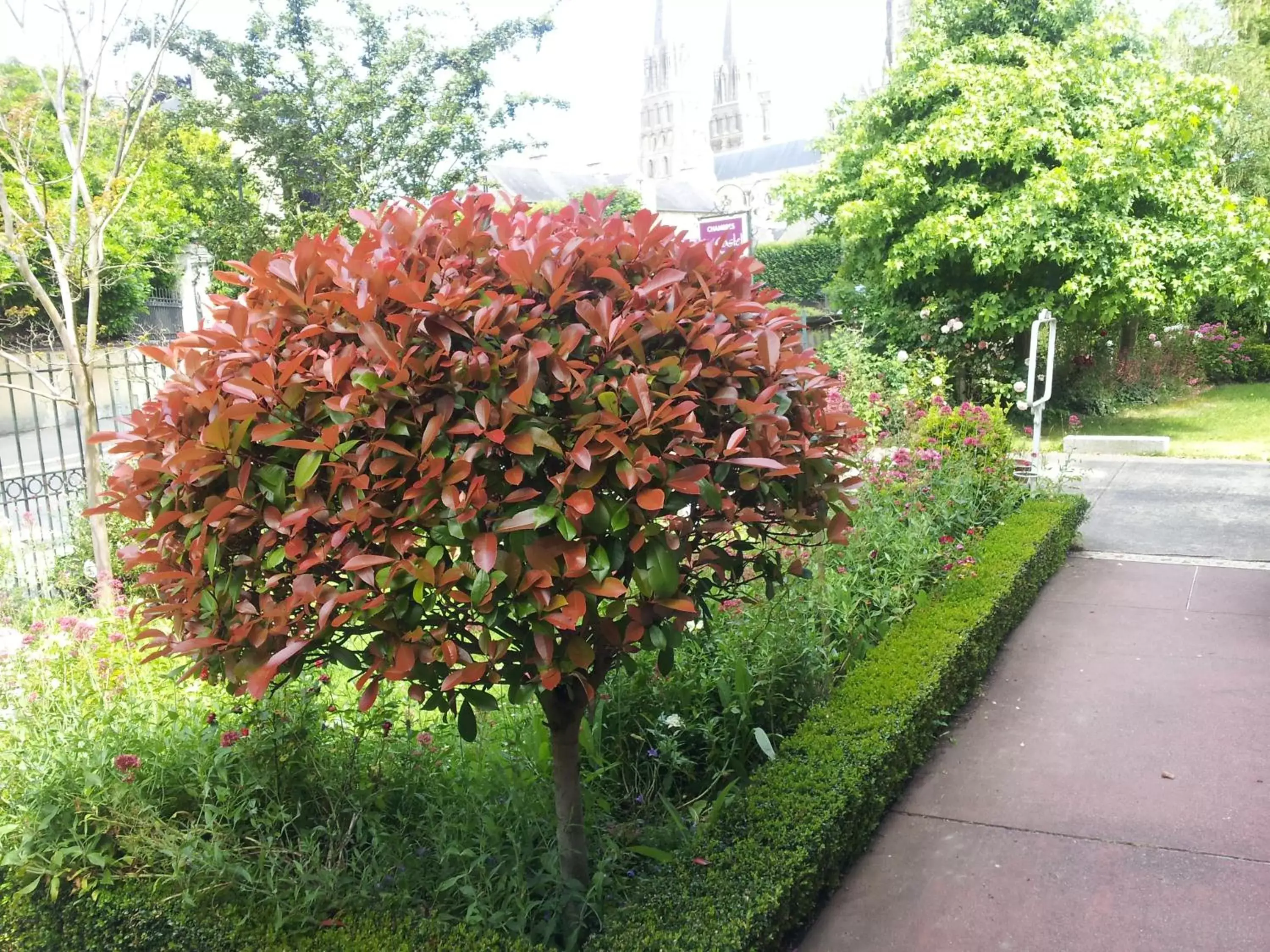 Garden in Le Castel Guesthouse