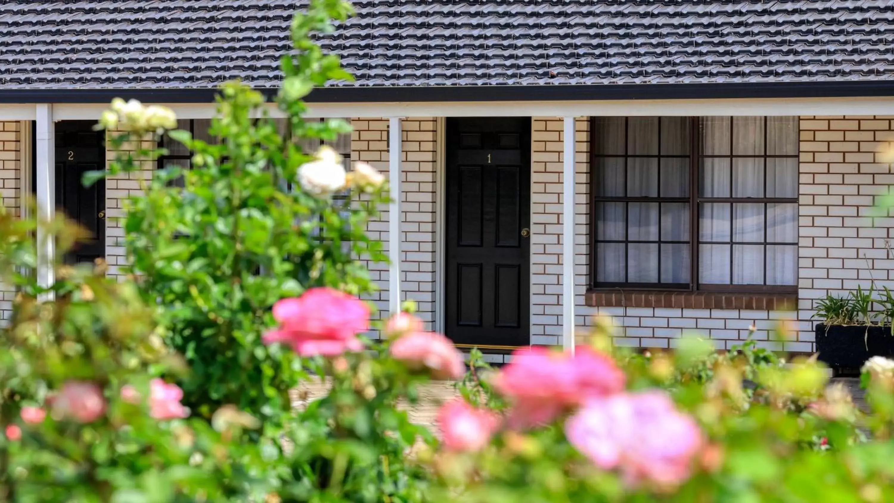 Garden, Property Building in Southern Comfort Motor Inn