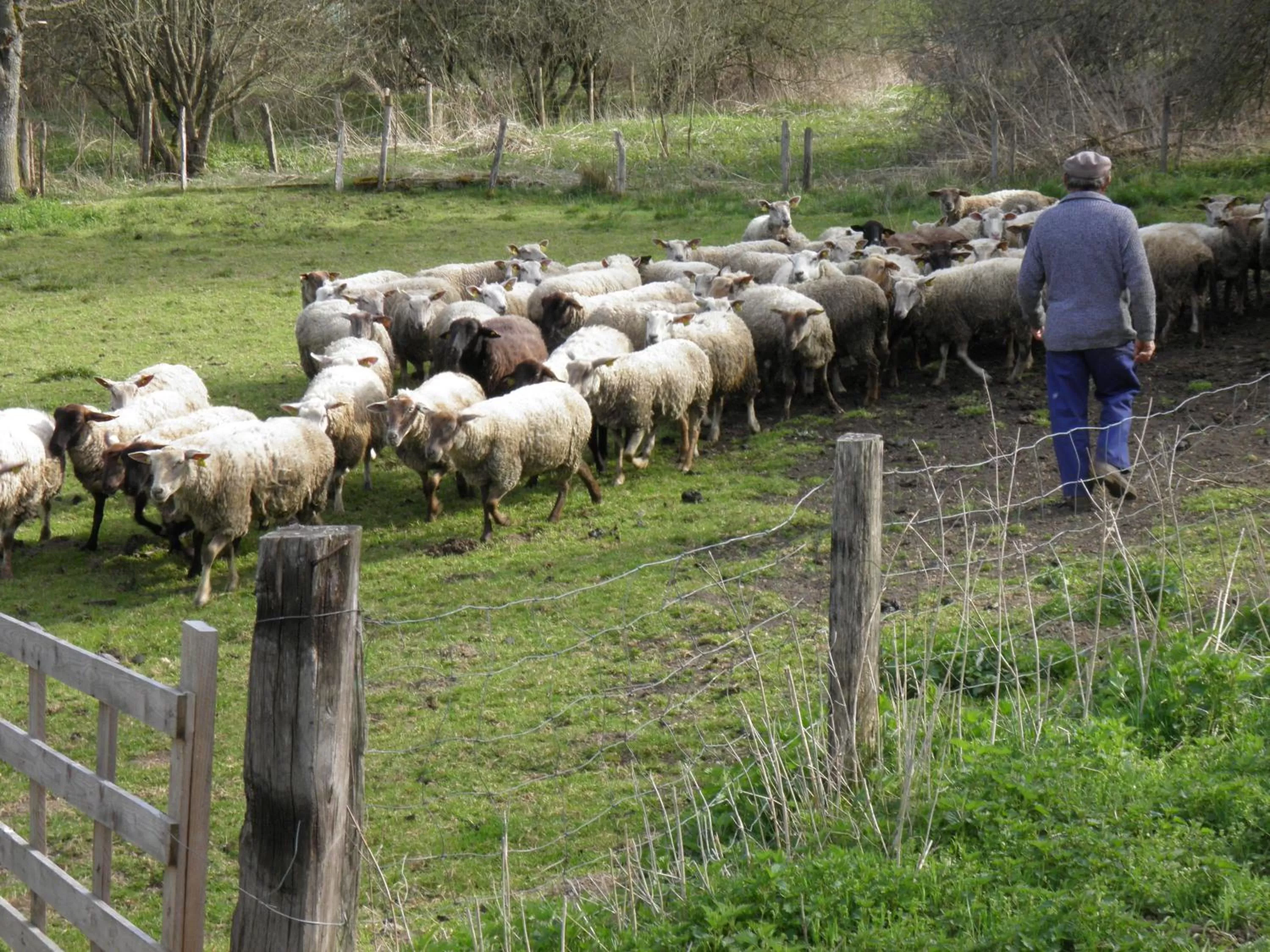 Area and facilities in Apparthotel Privilodges Carré de Jaude