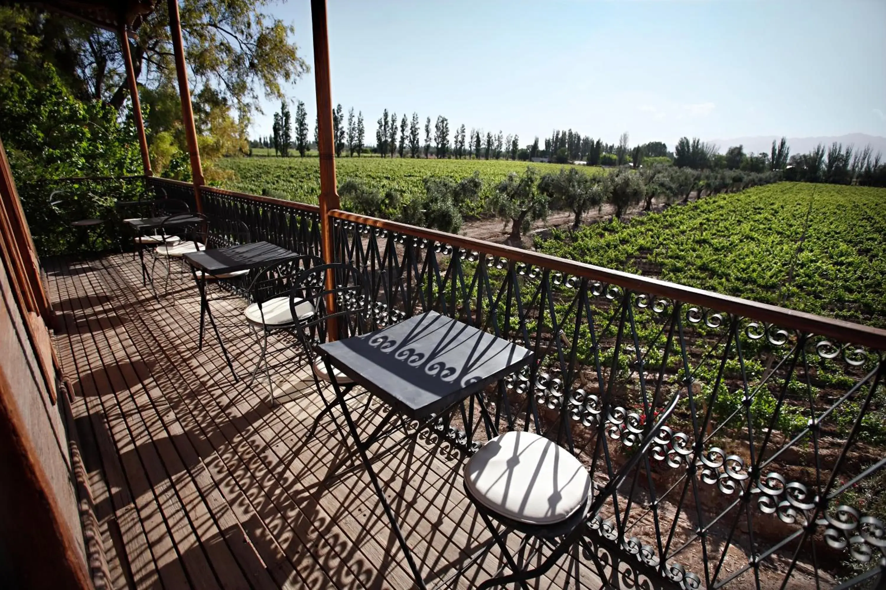 View (from property/room), Balcony/Terrace in Club Tapiz