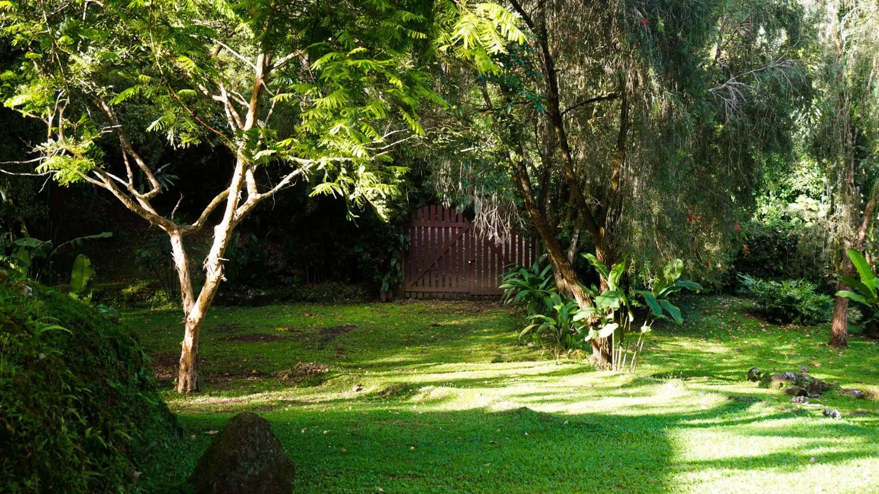 Natural landscape, Garden in Hospedaje La Naciente