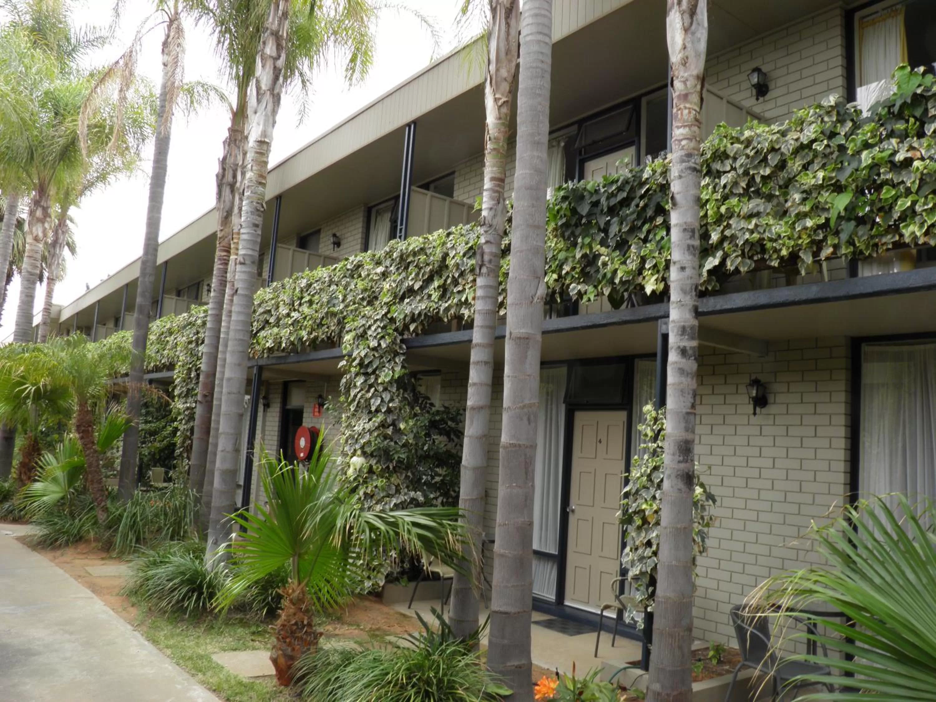 Garden in Sandors Motor Inn