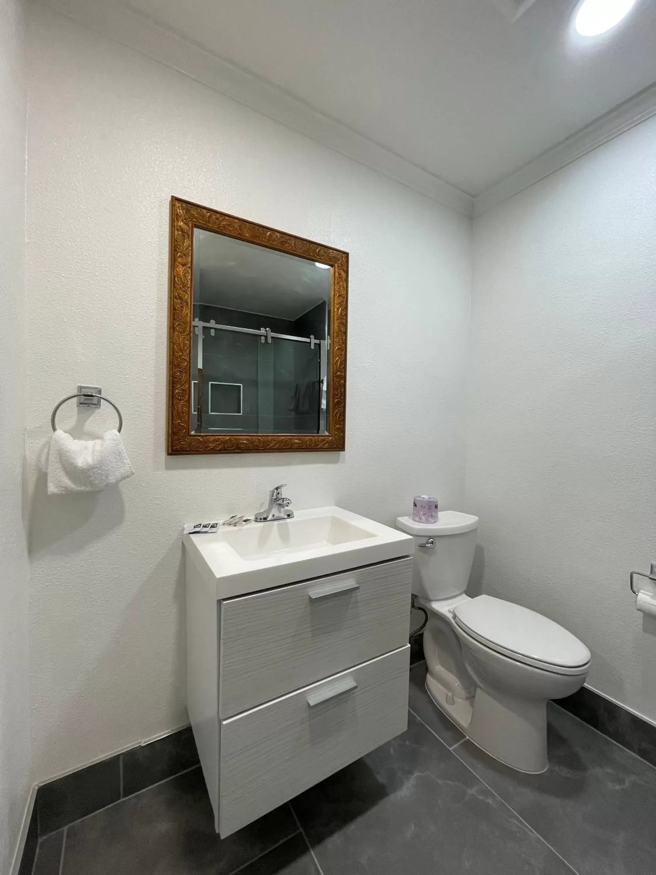 Bathroom in Ritz Inn-San Francisco Airport SFO