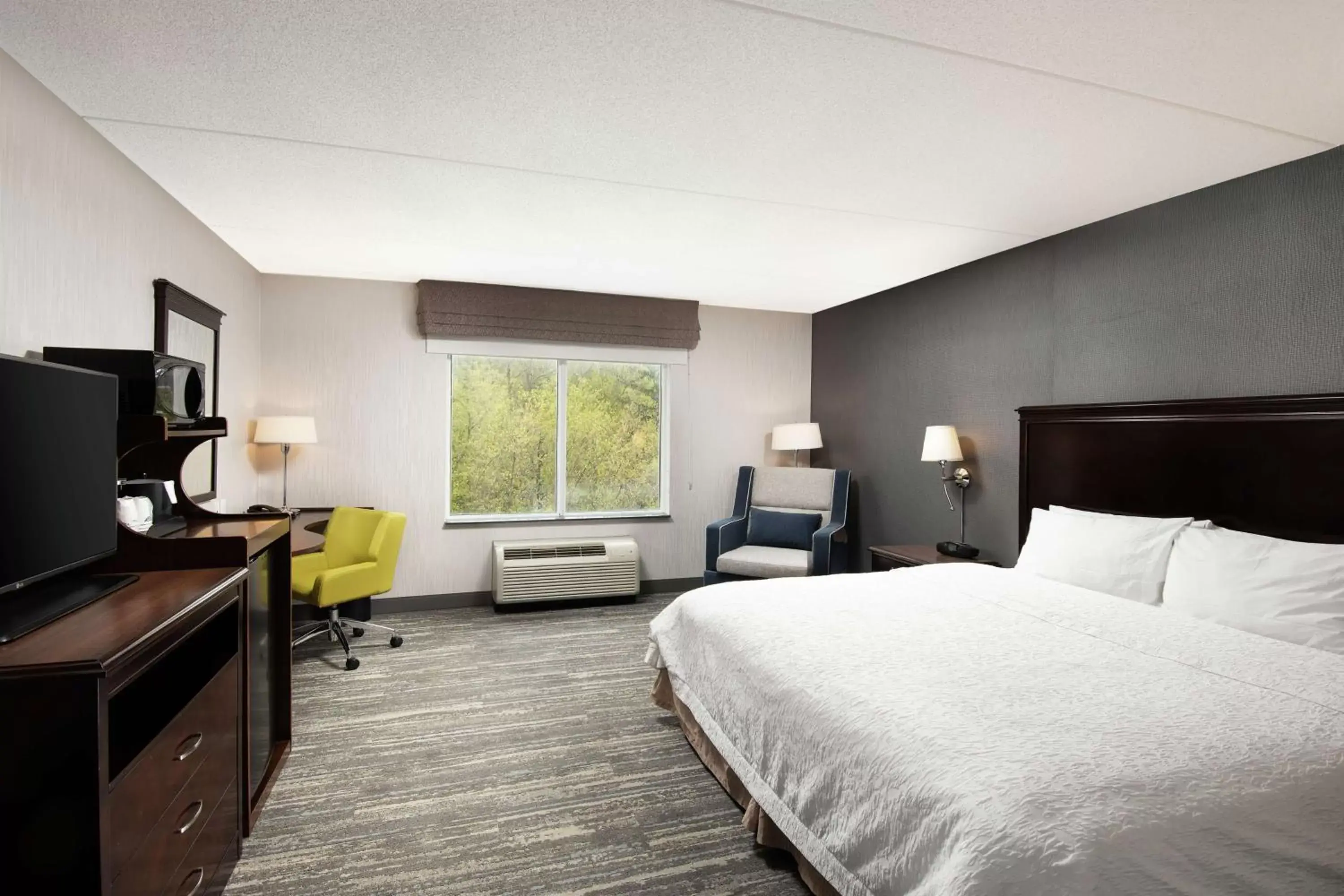 Bedroom, TV/Entertainment Center in Hampton Inn & Suites by Hilton Barrie