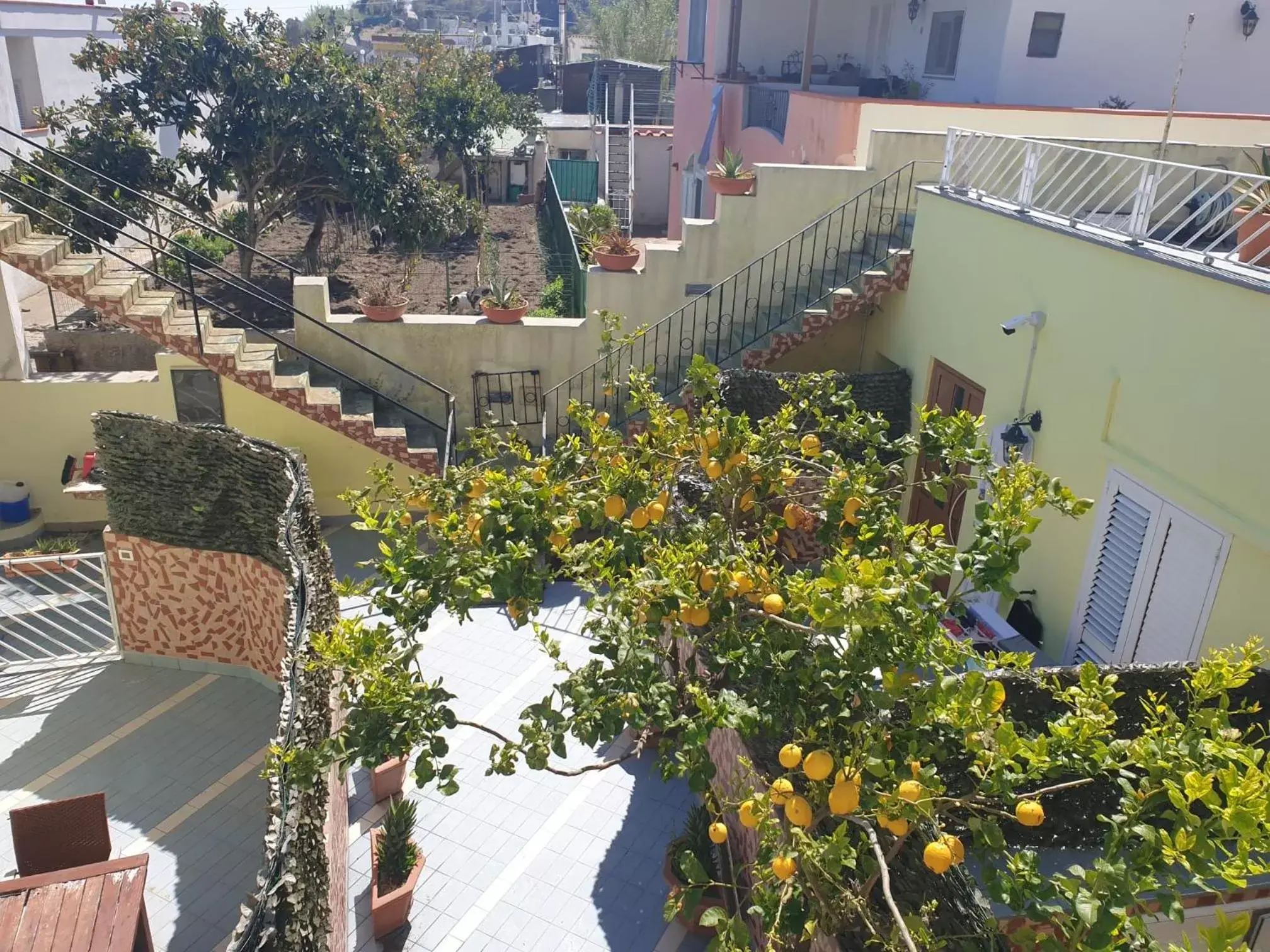 Garden view in Hotel Mareluna Ischia