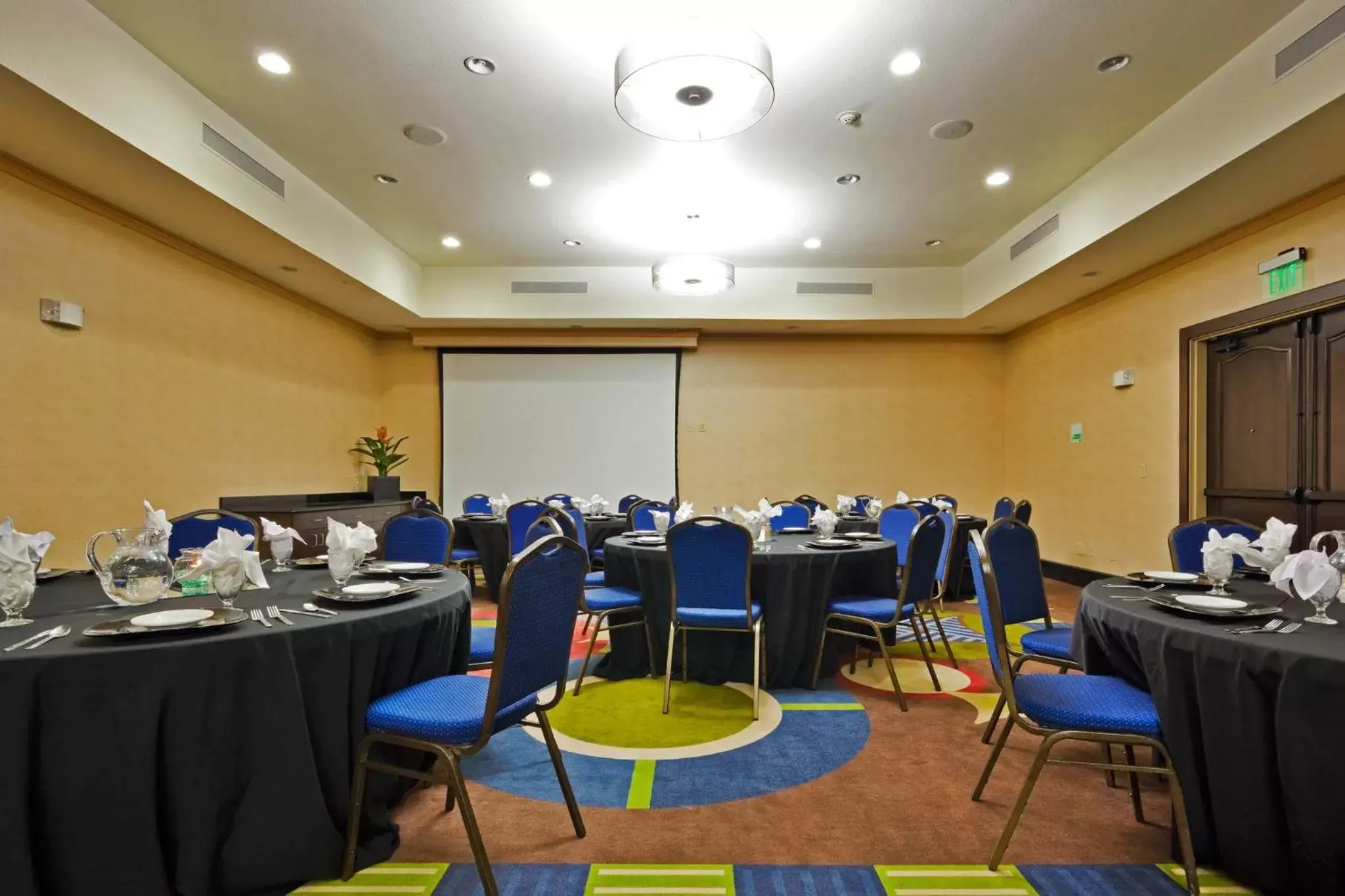 Meeting/conference room in Holiday Inn Hotel & Suites Waco Northwest, an IHG Hotel