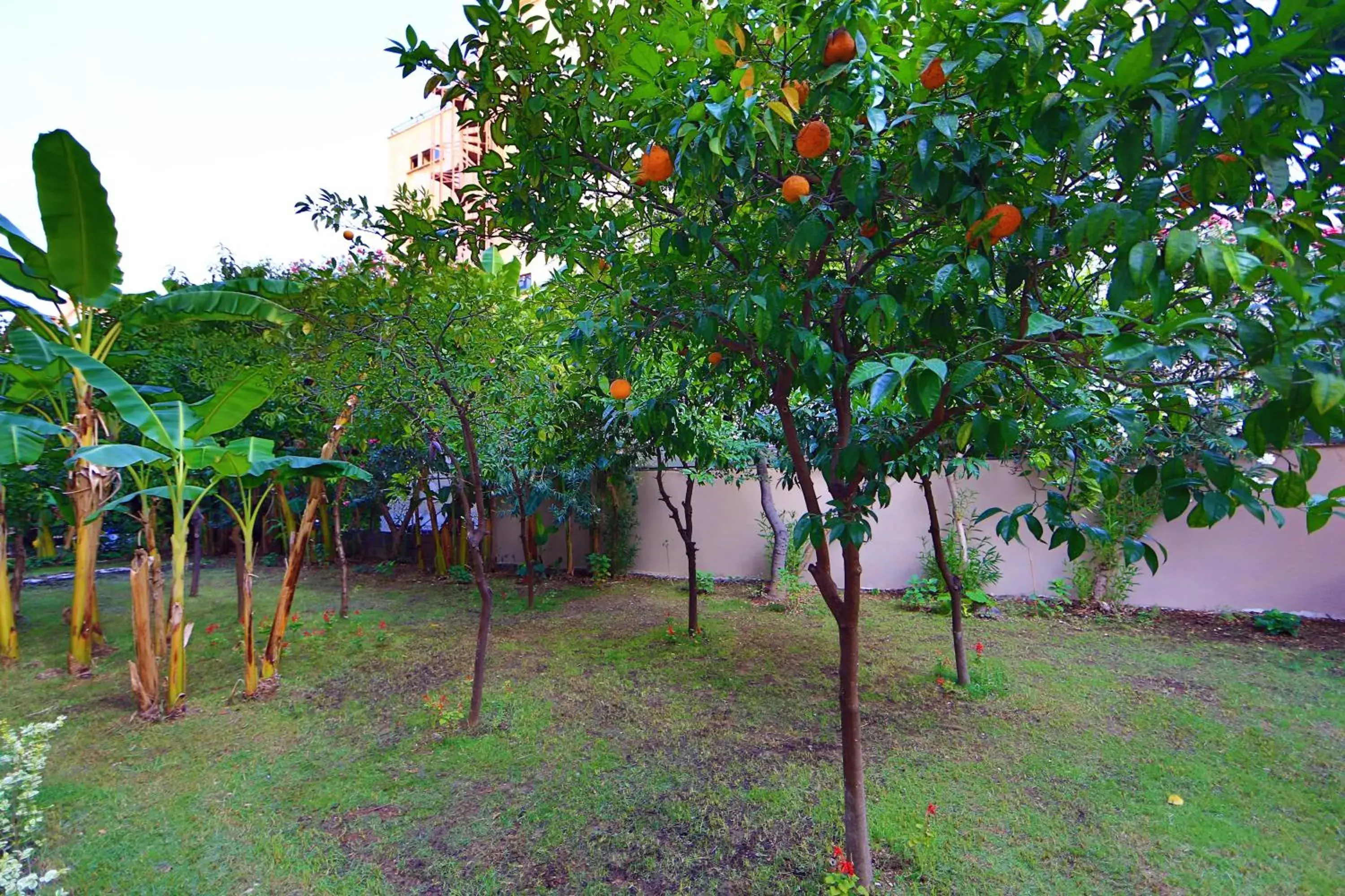 Restaurant/places to eat in Perle Apart Hotel Restaurant/places to eat in Perle Apart Hotel