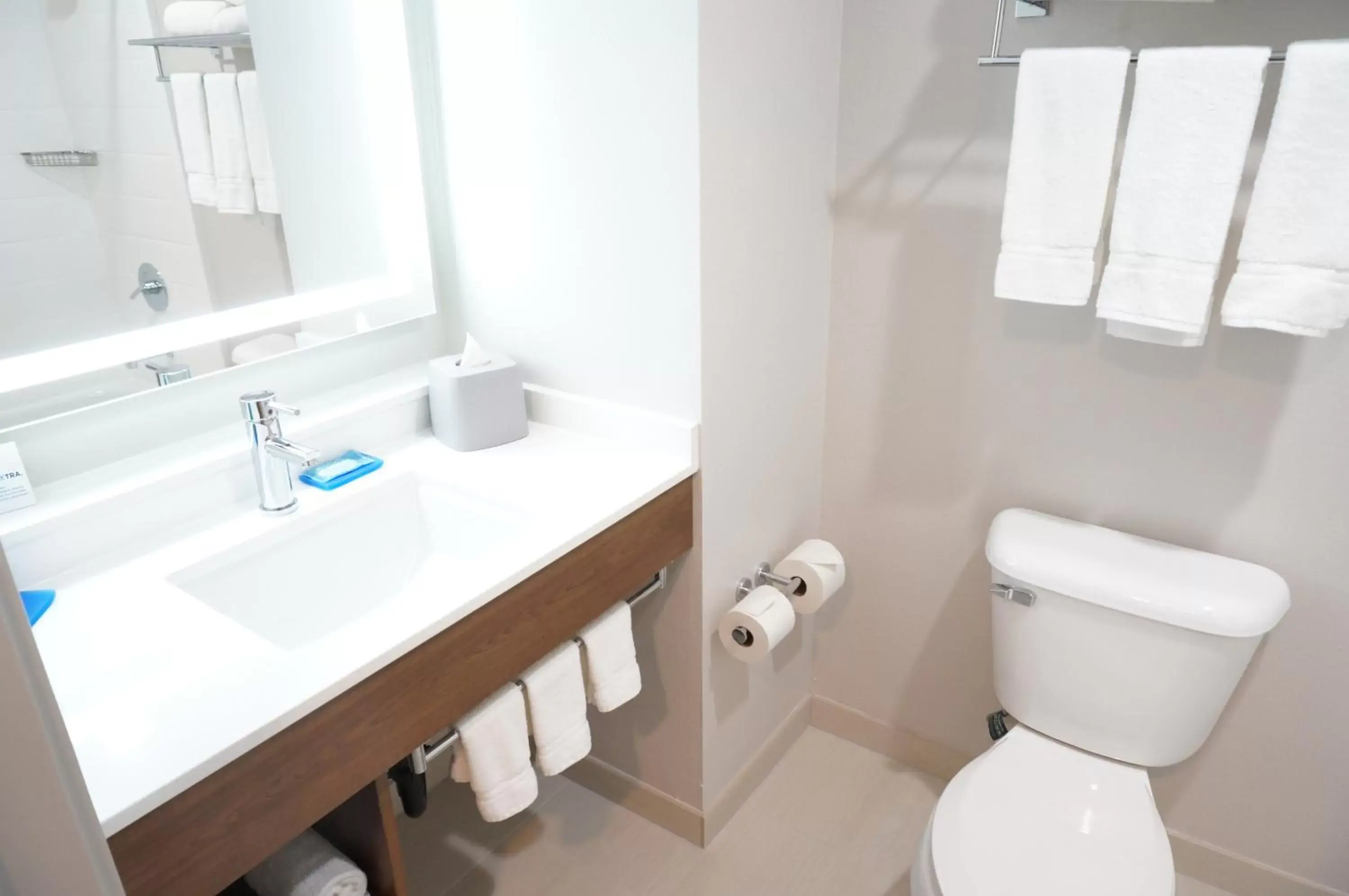 Toilet, Bathroom in Holiday Inn Express Fremont - Milpitas Central, an IHG Hotel