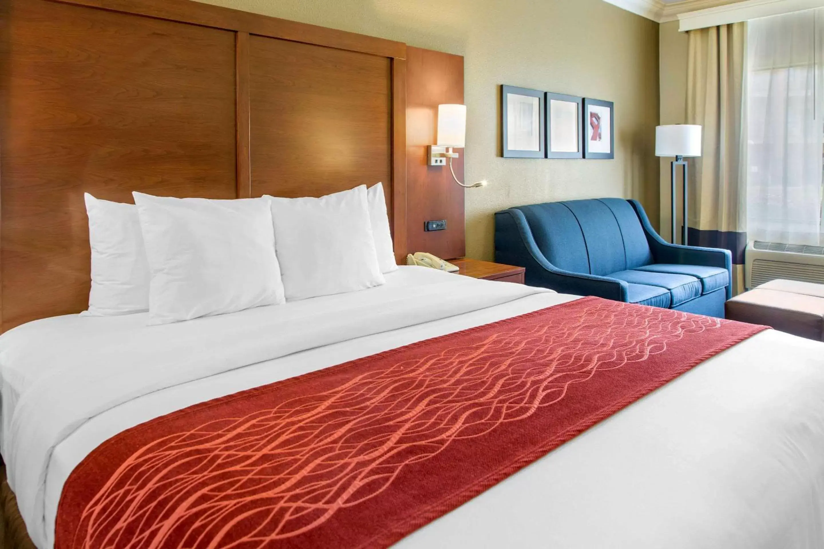 Photo of the whole room, Bed in Comfort Inn & Suites San Francisco Airport North