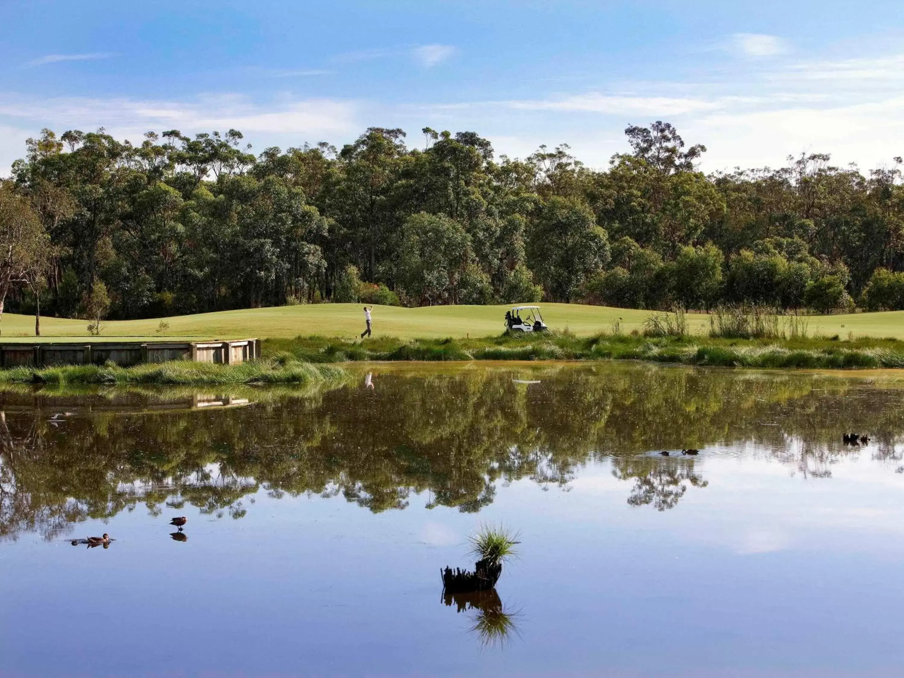 Golfcourse in Mercure Kooindah Waters Central Coast