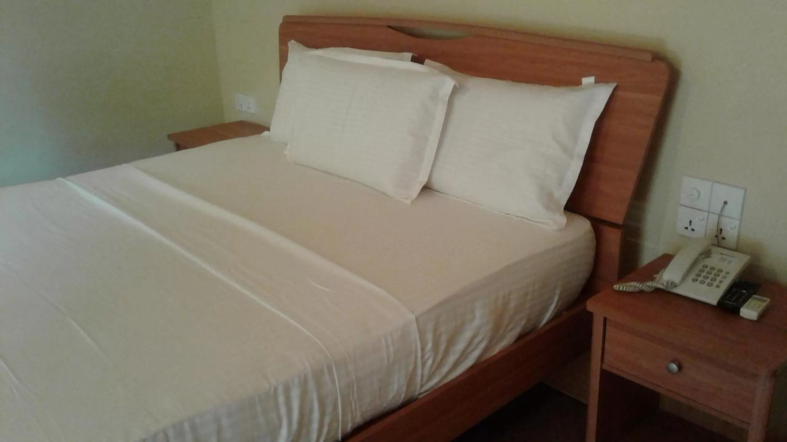 Standard Double Room in Gamodh Citadel Resort