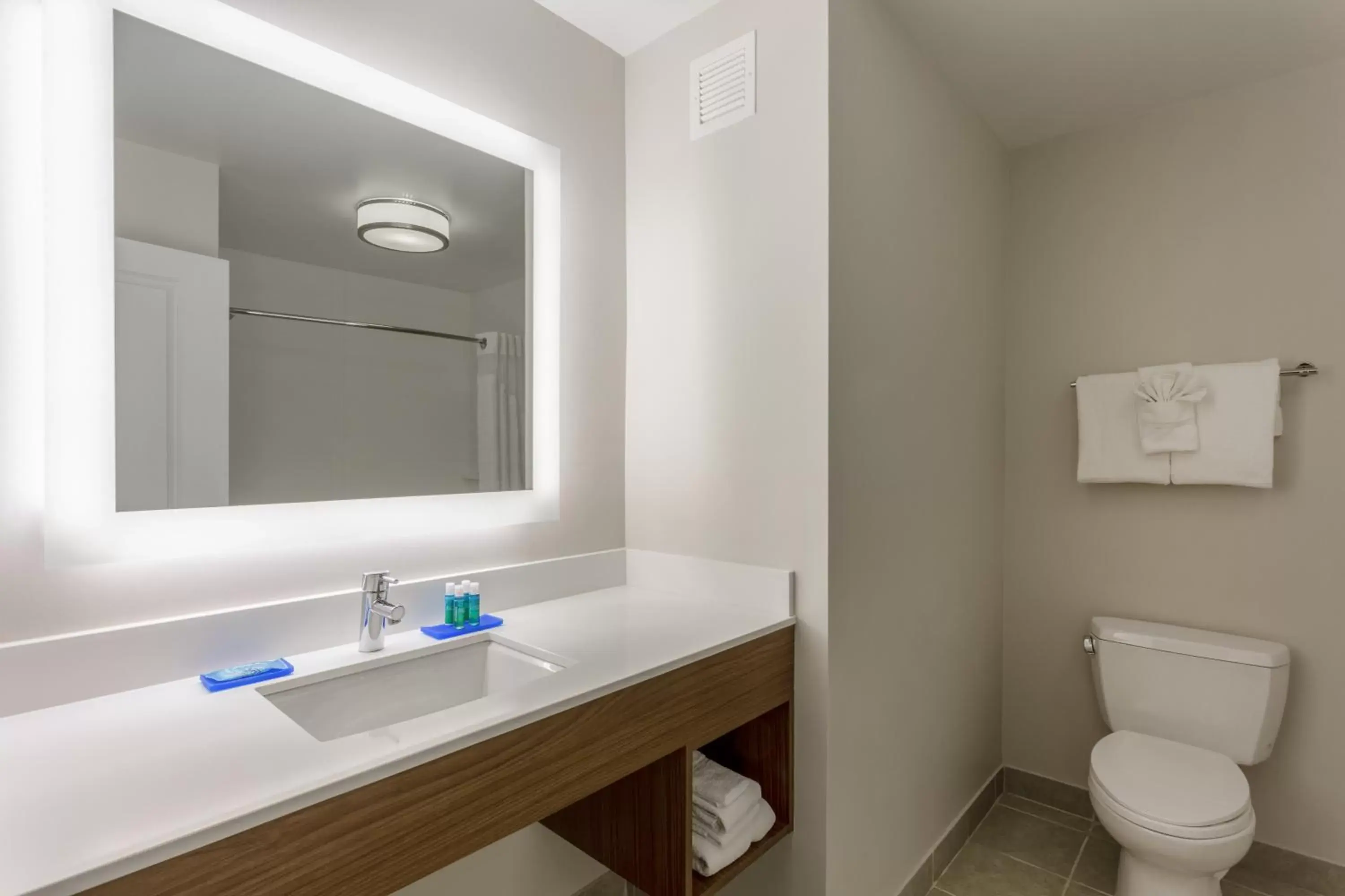 Bathroom in Holiday Inn Express & Suites Vandalia, an IHG Hotel