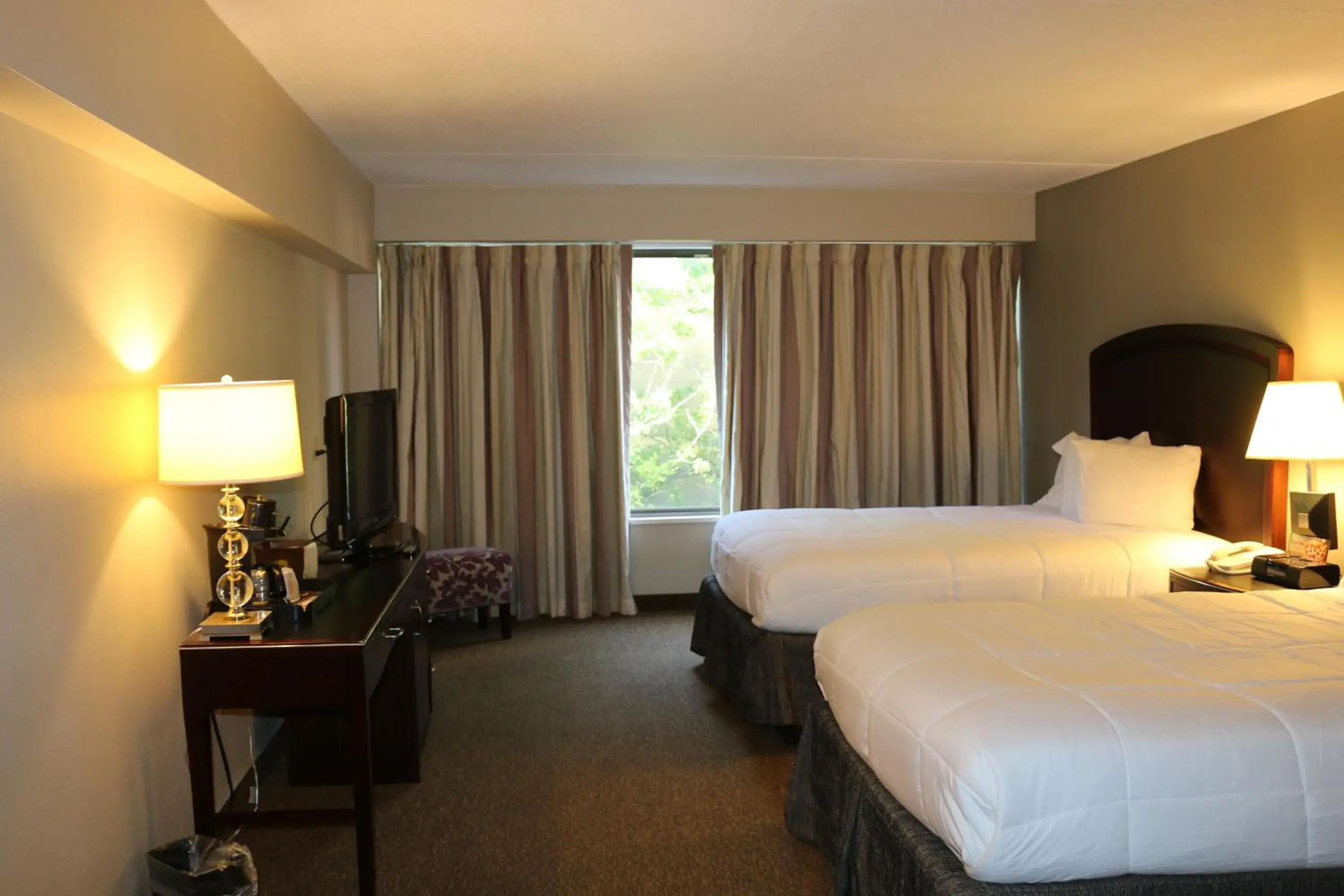 Photo of the whole room, Bed in The Avalon Hotel and Conference Center