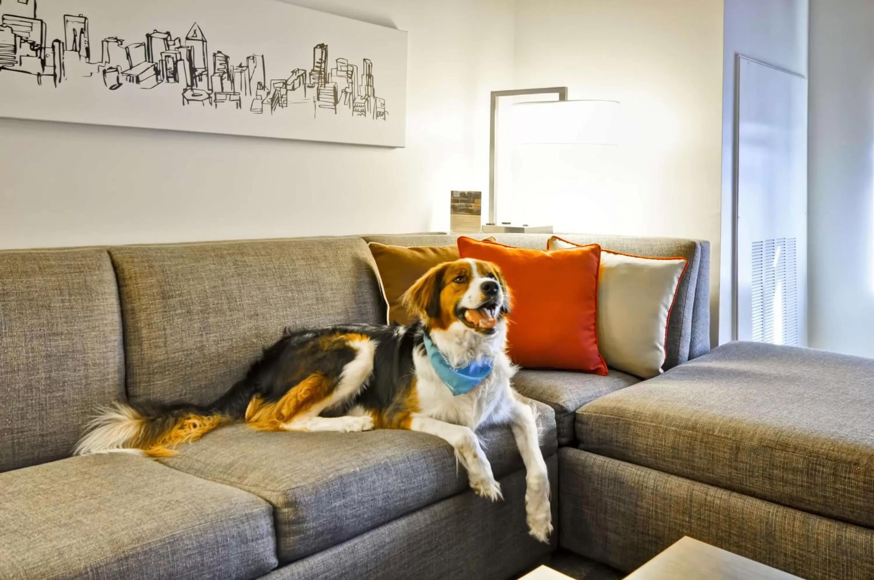 Photo of the whole room, Pets in Hyatt House Atlanta Cobb Galleria