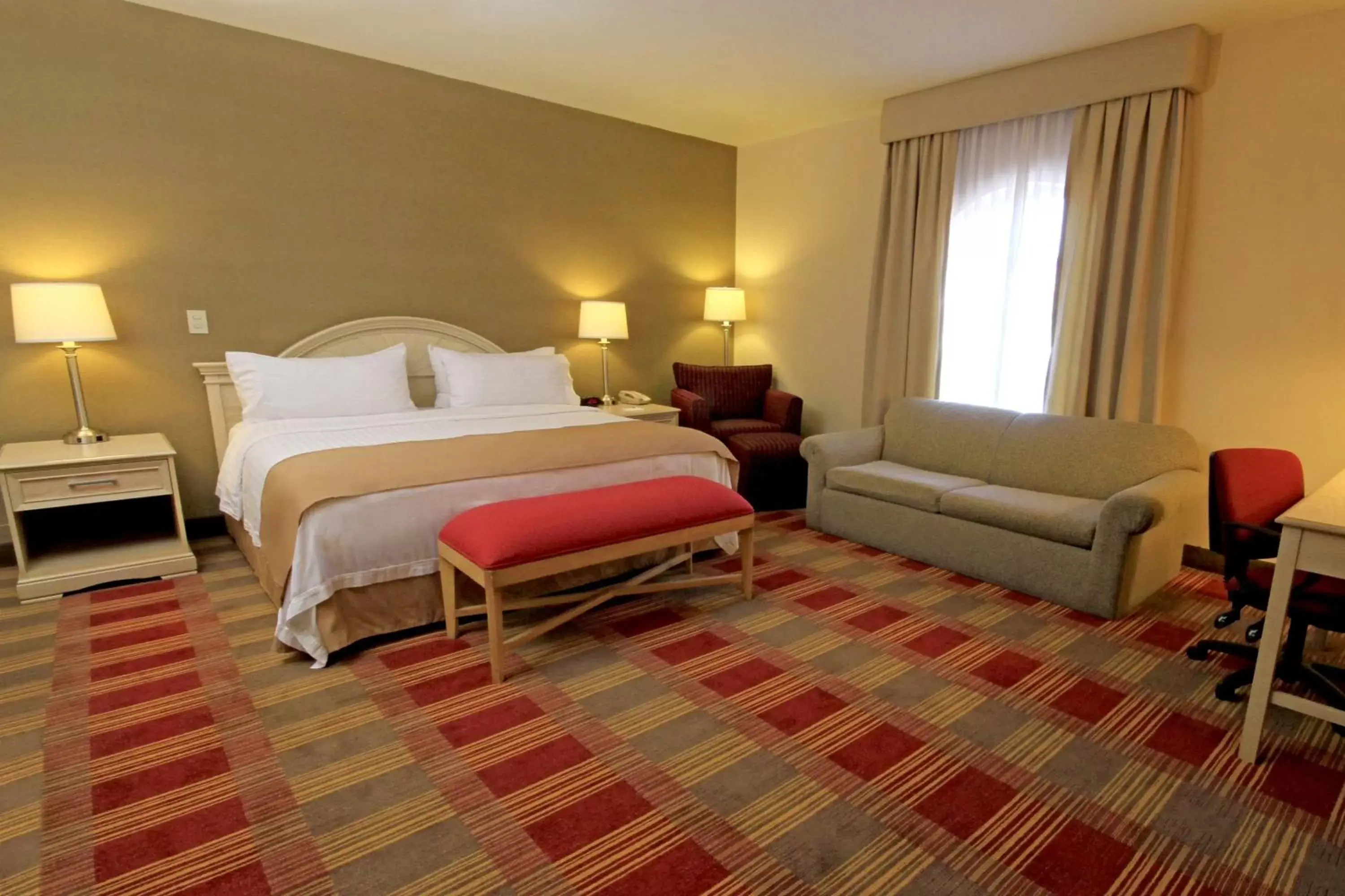 Day, Bed in Holiday Inn Monclova, an IHG Hotel
