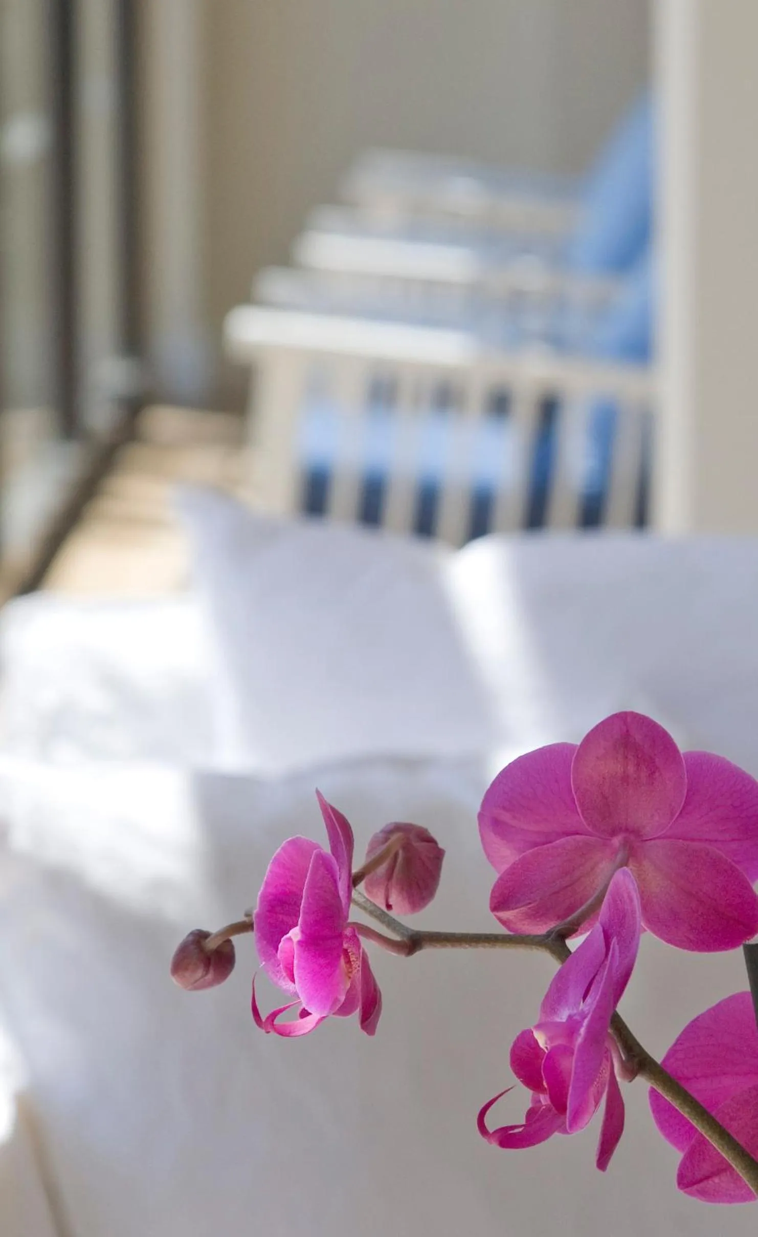 Lobby or reception, Bed in Sandy Beach Hotel & Spa - ex Sentido