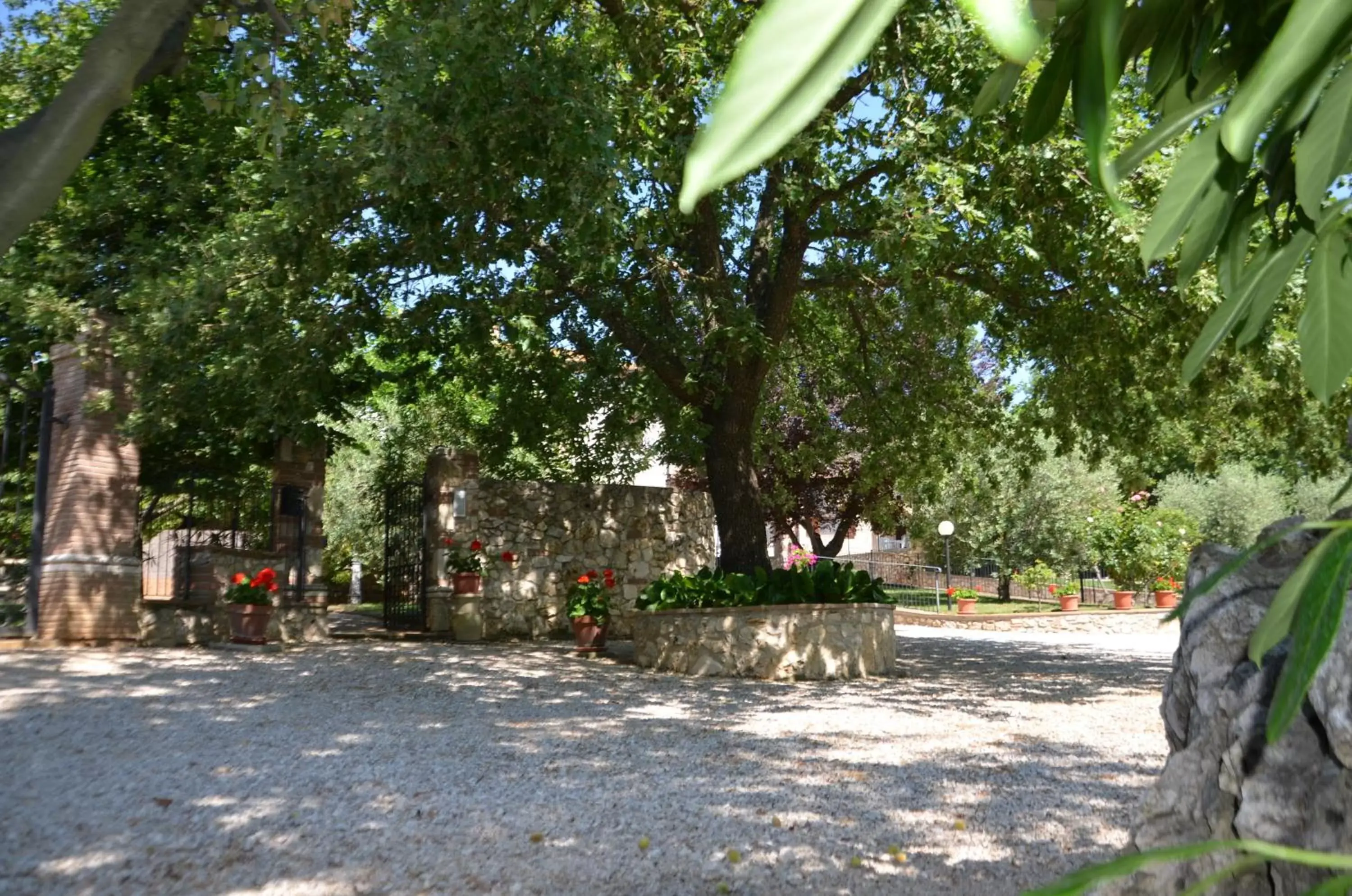 Garden view in Casale Santa Caterina